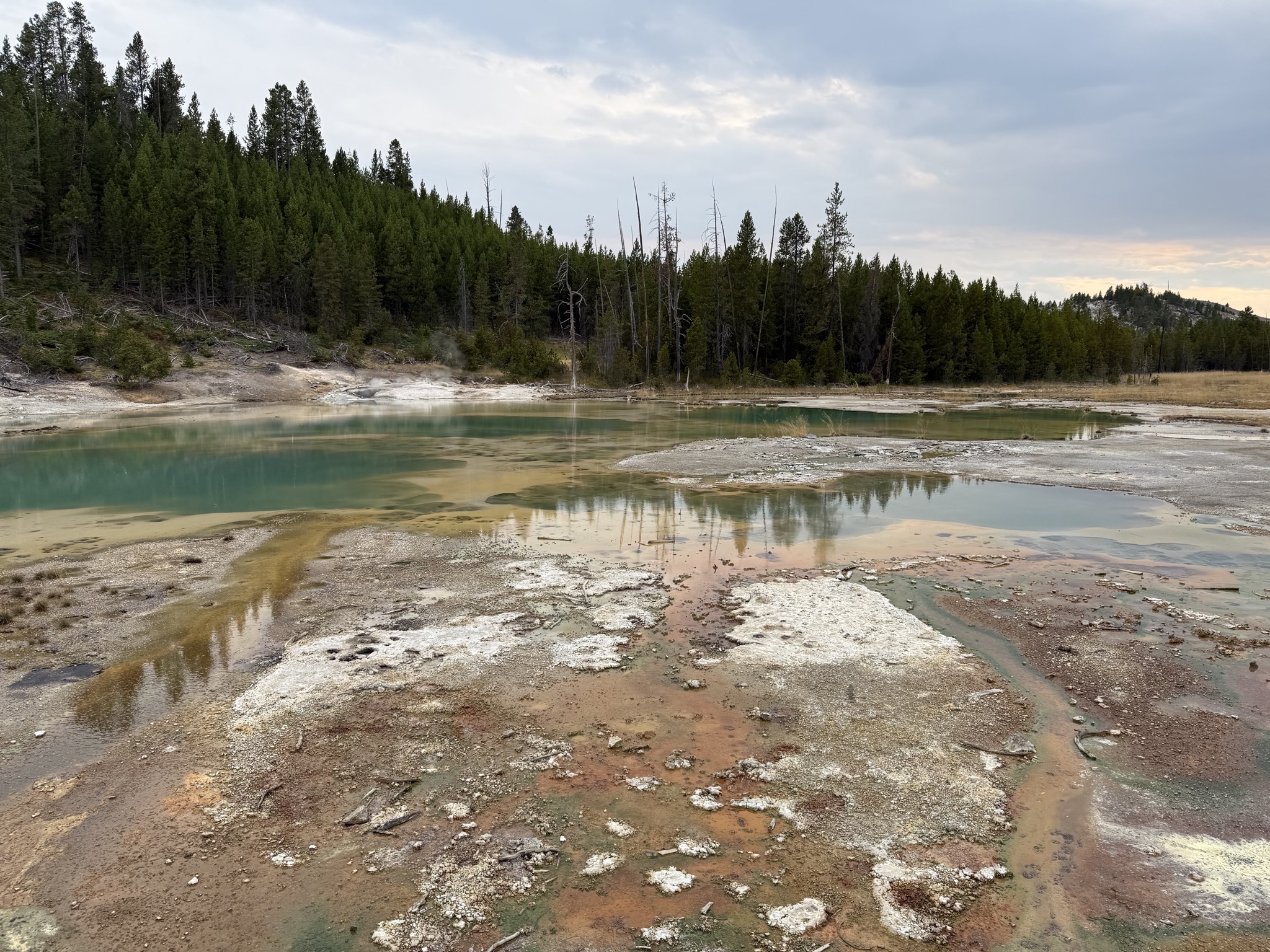 Norris Geyser Basin