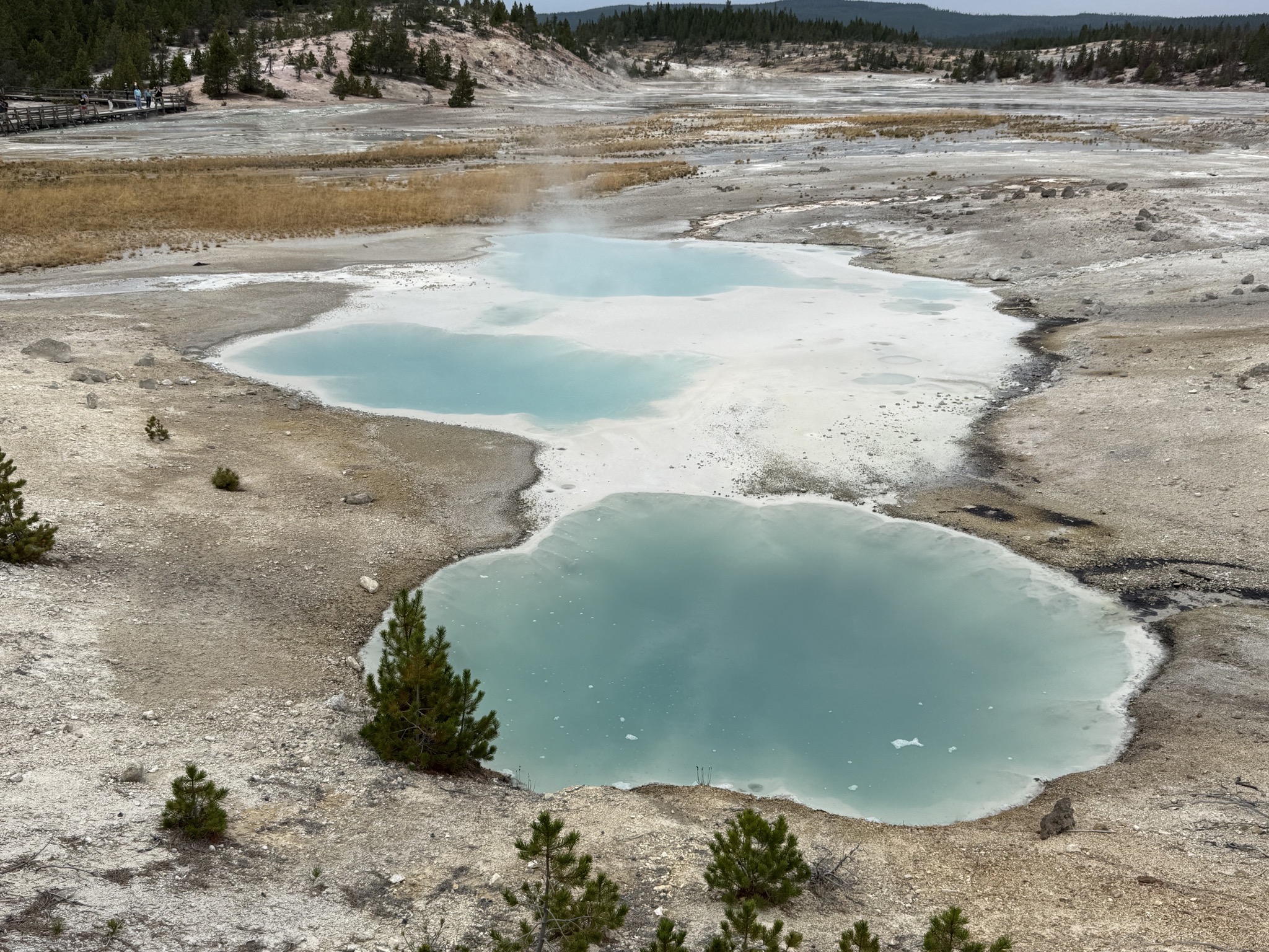 Norris Geyser Basin