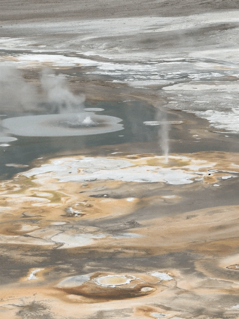 Norris Geyser Basin