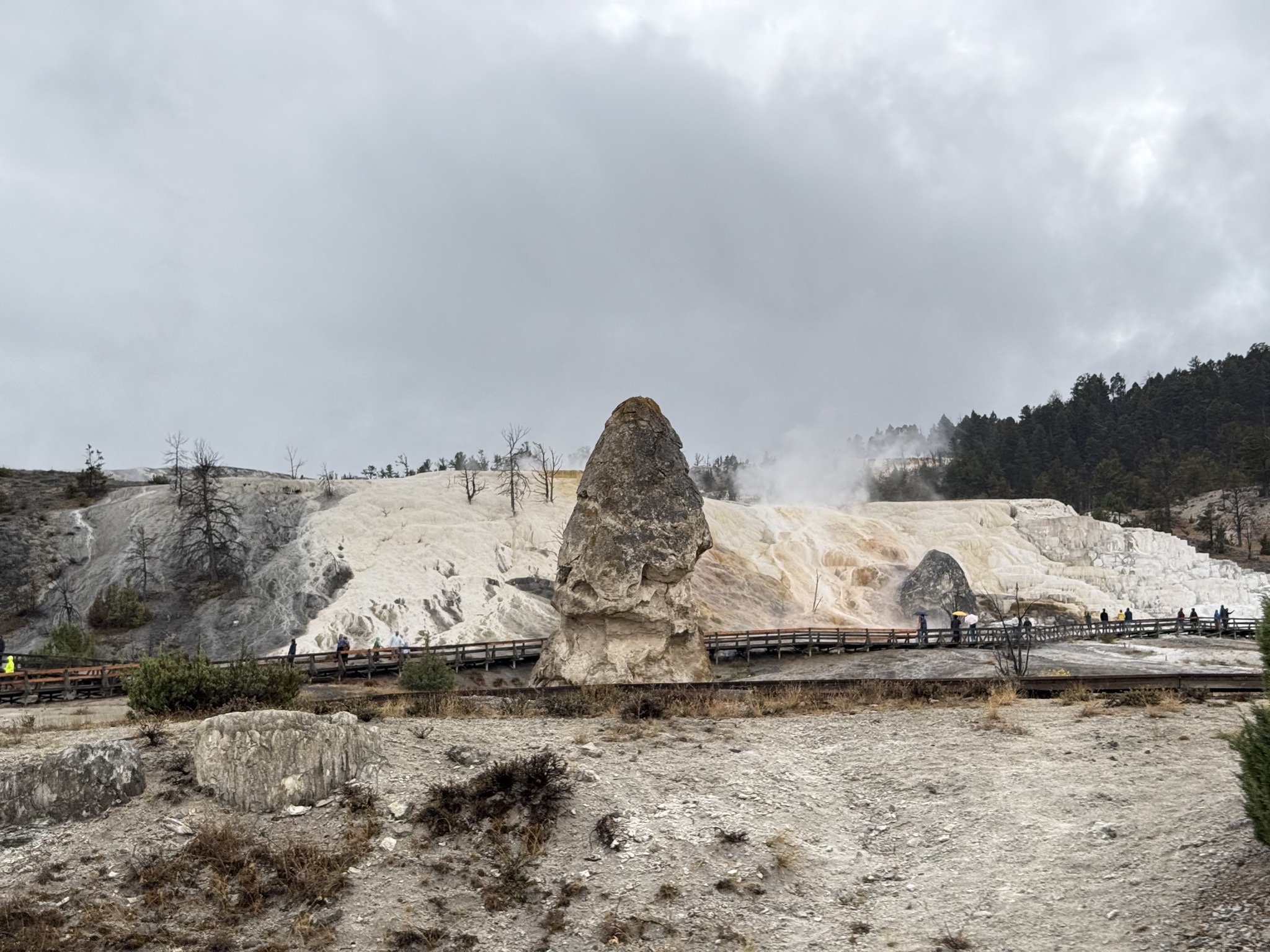 Mammoth terraces