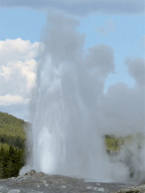 Old Faithful erupting
