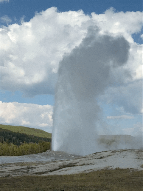 Old Faithful erupting