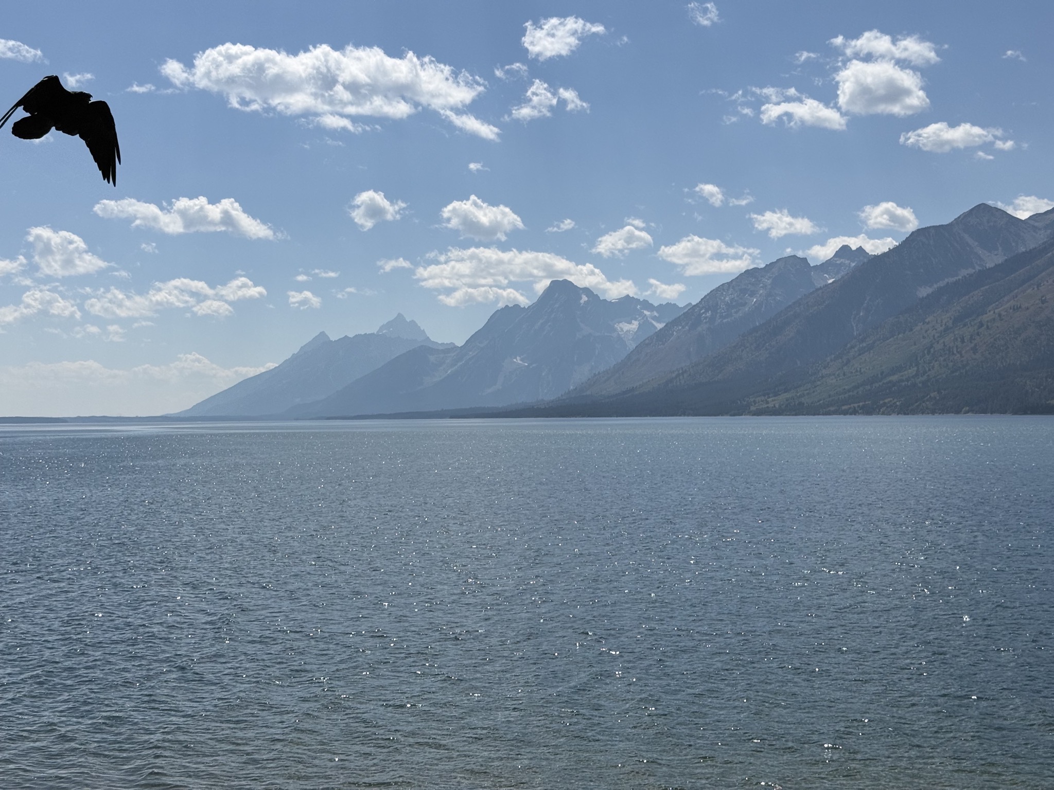 Jackson Lake