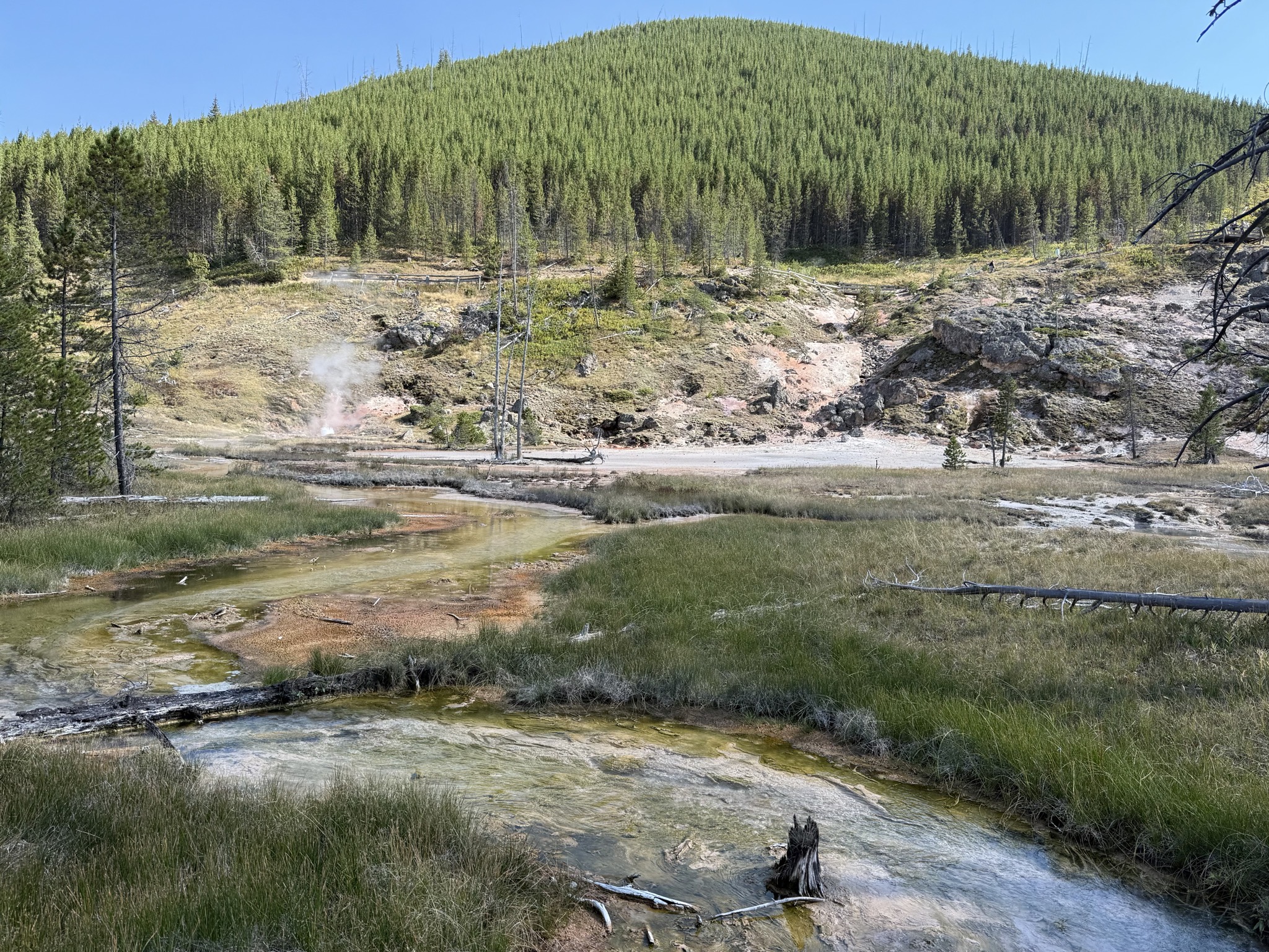 Artusts' Paintpots