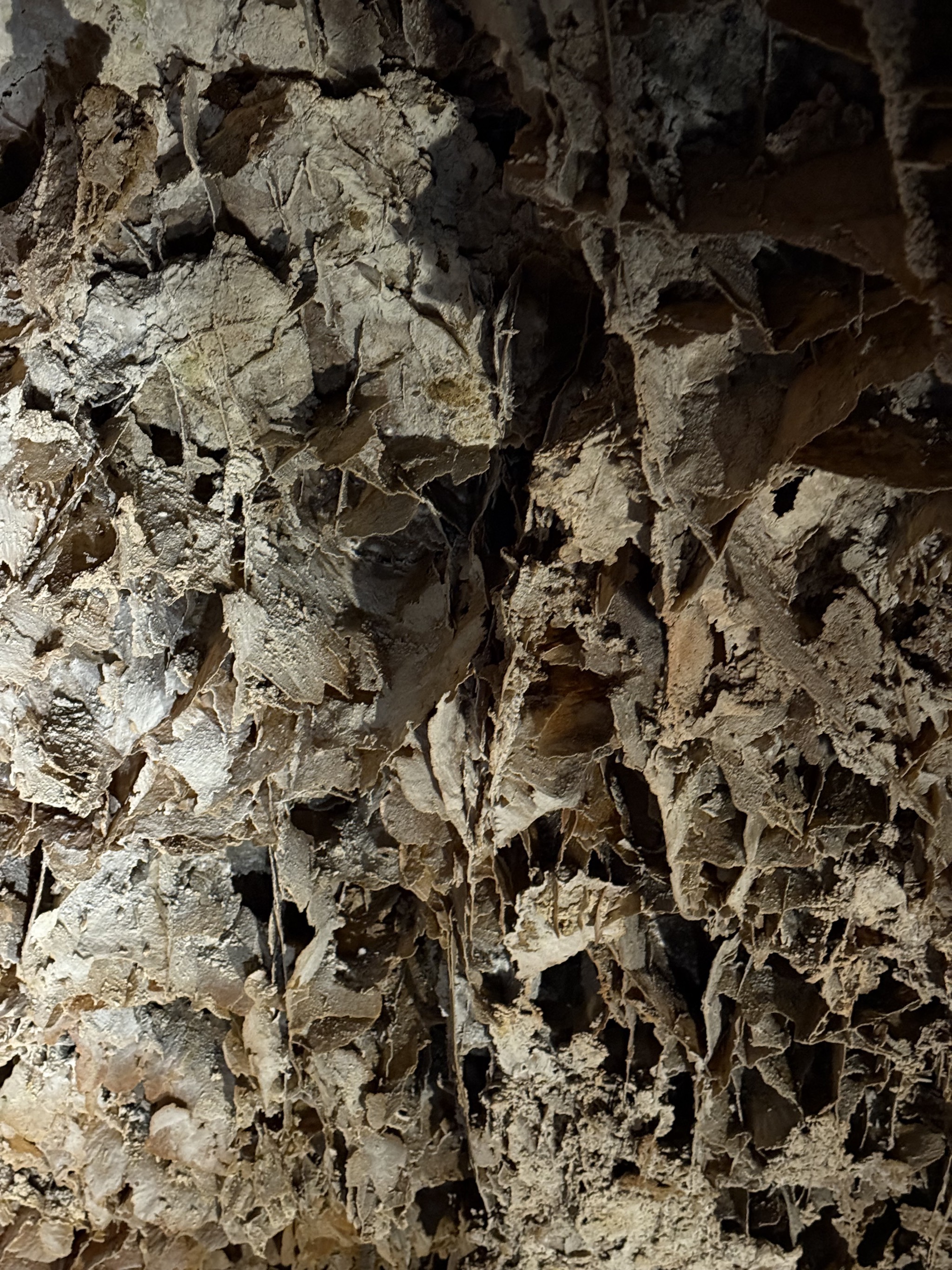 Wind Cave