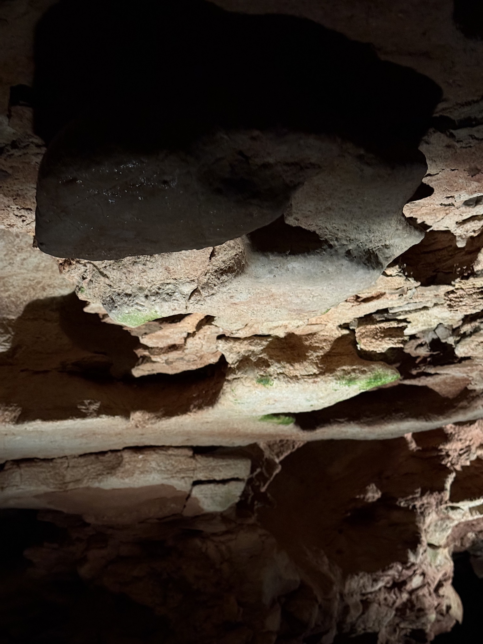 Wind Cave