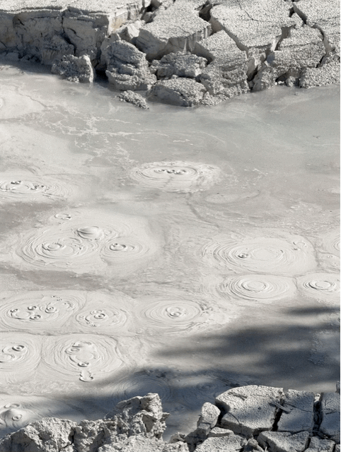 Artusts' Paintpots
