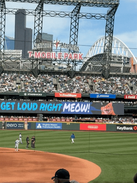 Baseball