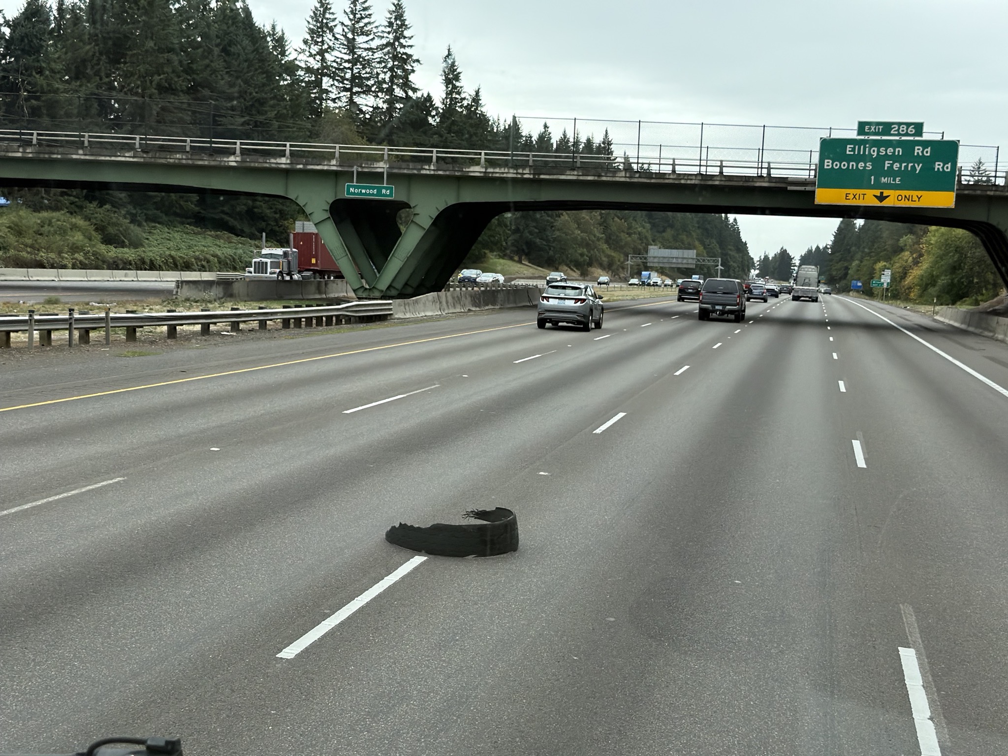 Shredded tire on the freeway