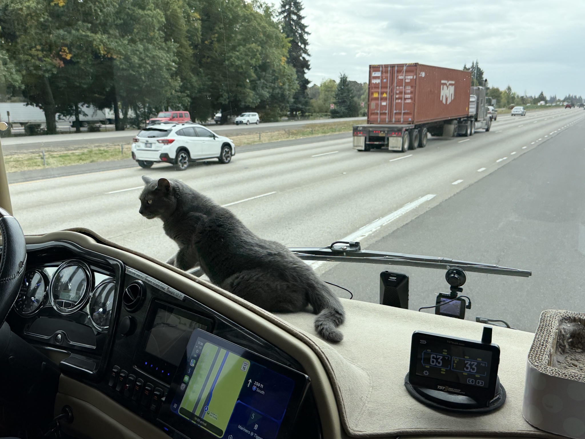 Paladin getting off the dash as we get back on the freeway