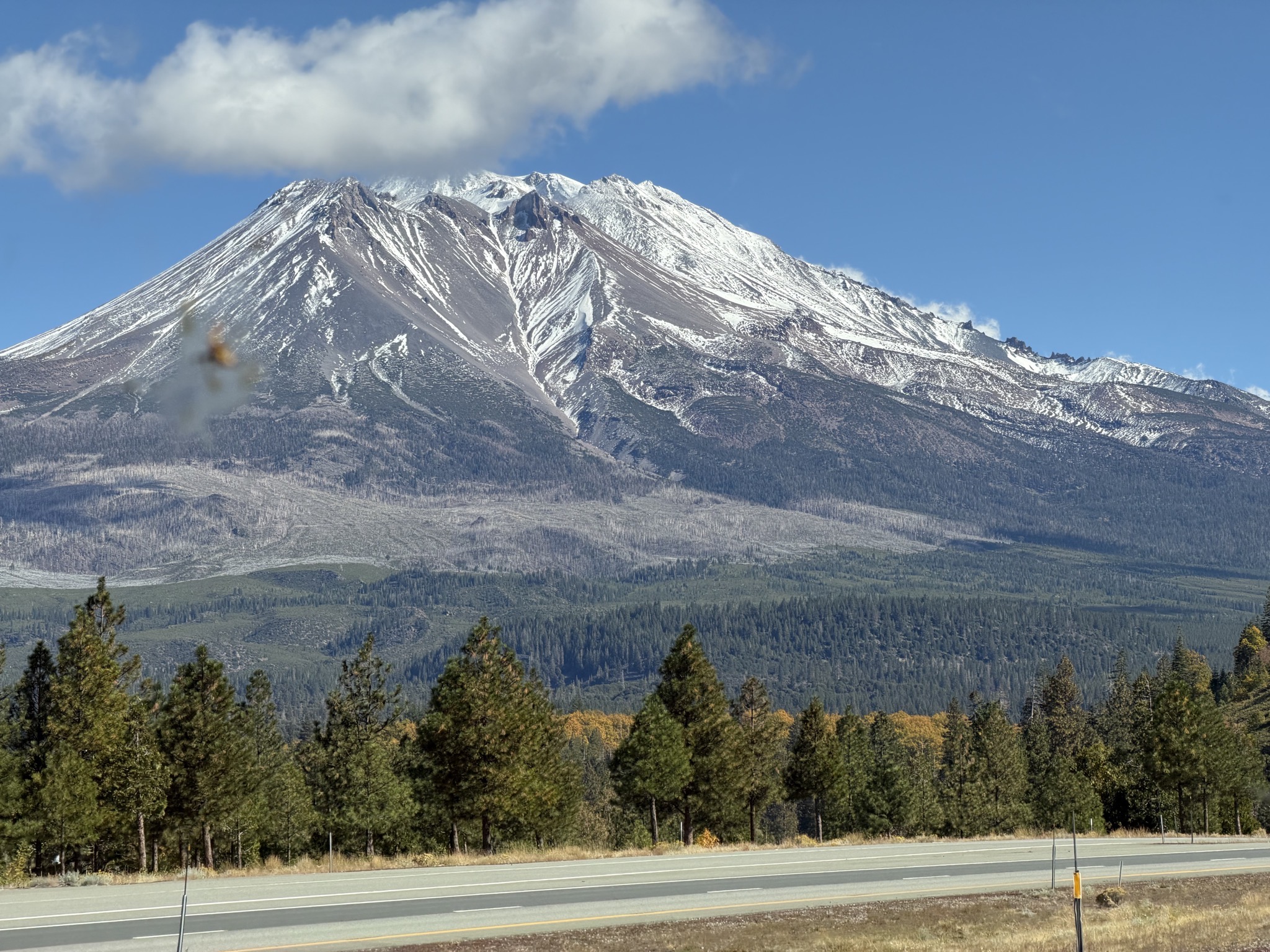 Mount Shasta