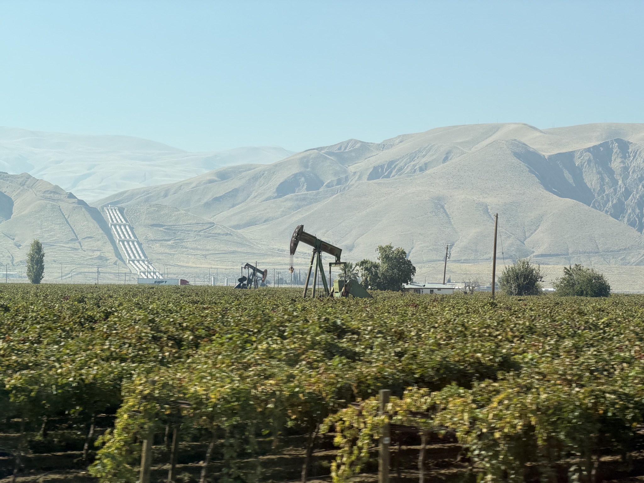 Very California: hills, pipes, grapes, pump jack