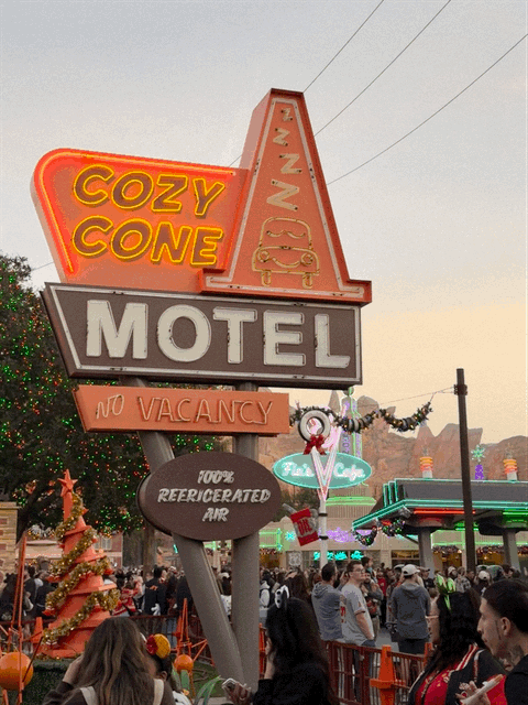 Cozy Cone