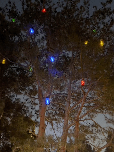 Firefly lights