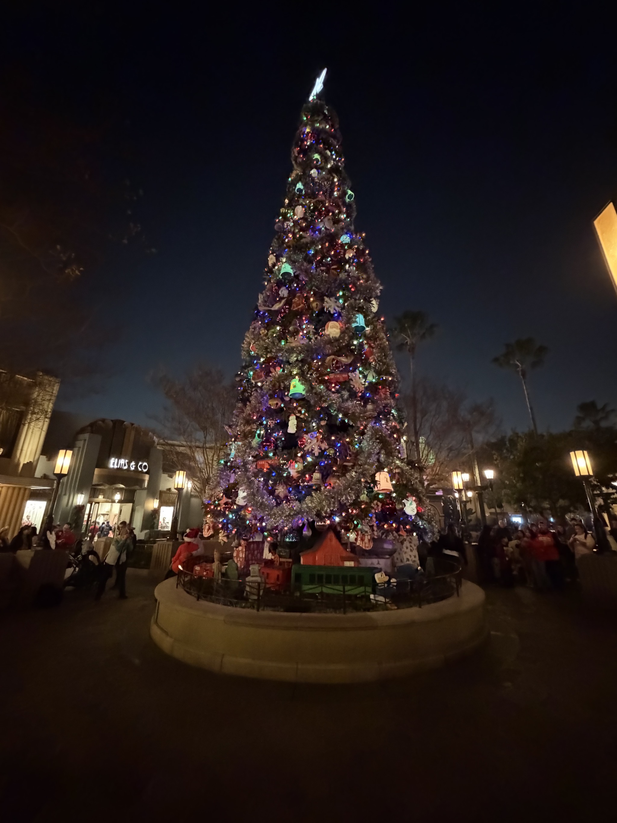 Disney California Adventure Christmas – Sinclair Trails