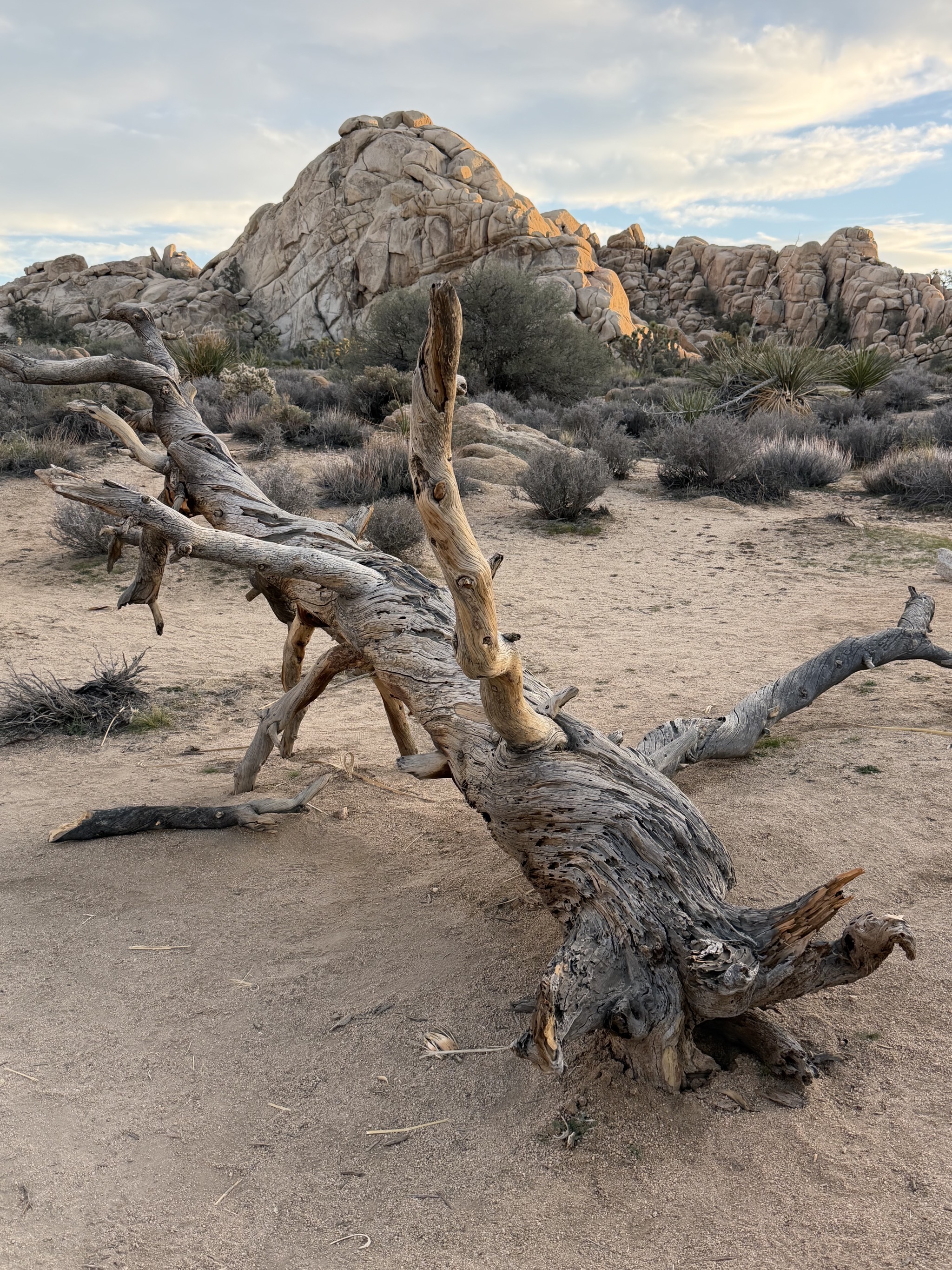 Hidden Valley Nature Trail