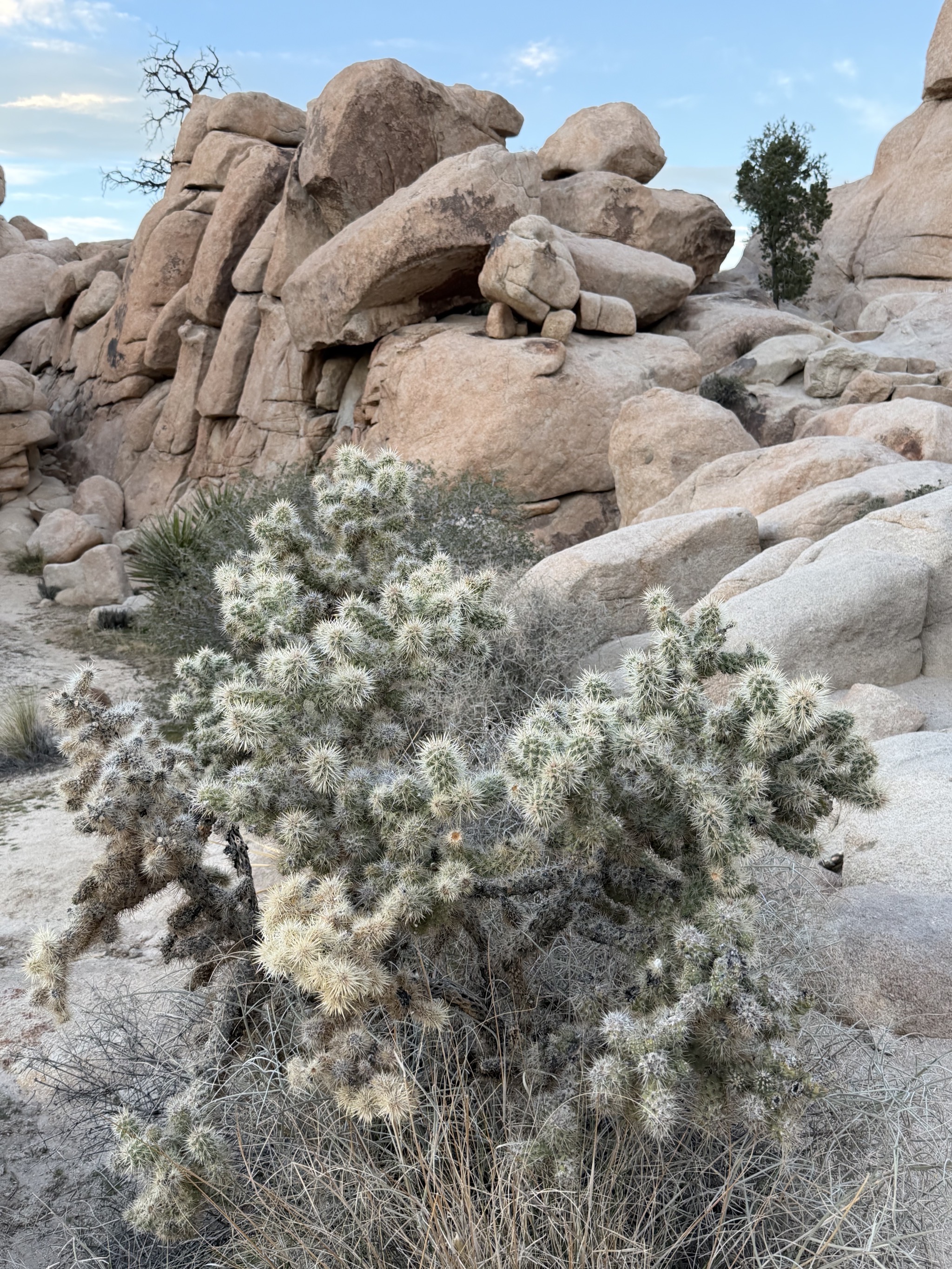 Hidden Valley Nature Trail