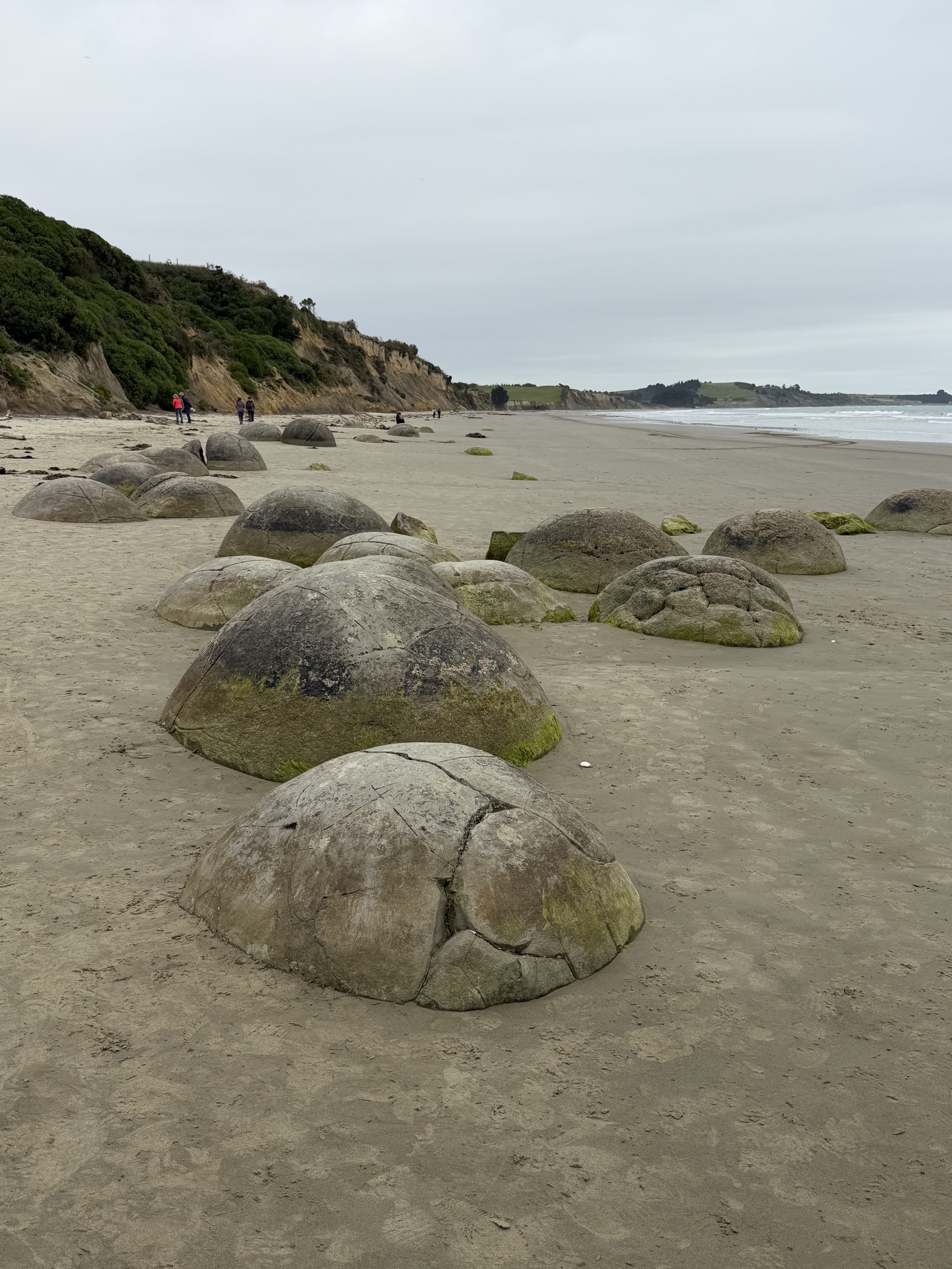 Moeraki Boulders