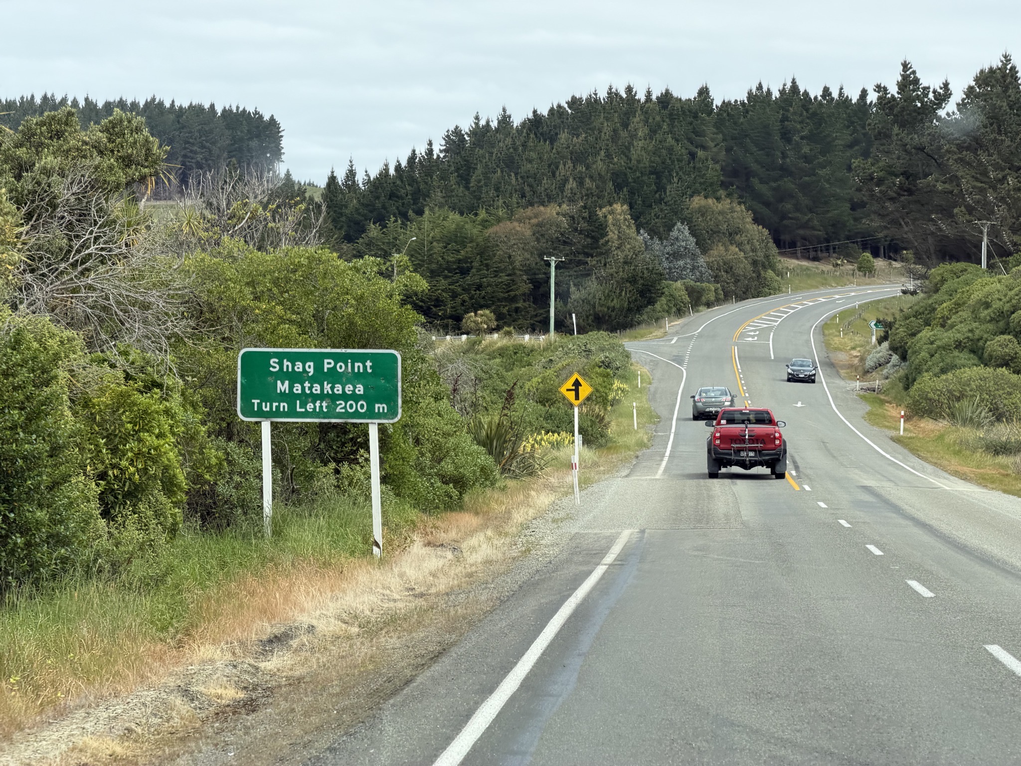 Shag Point