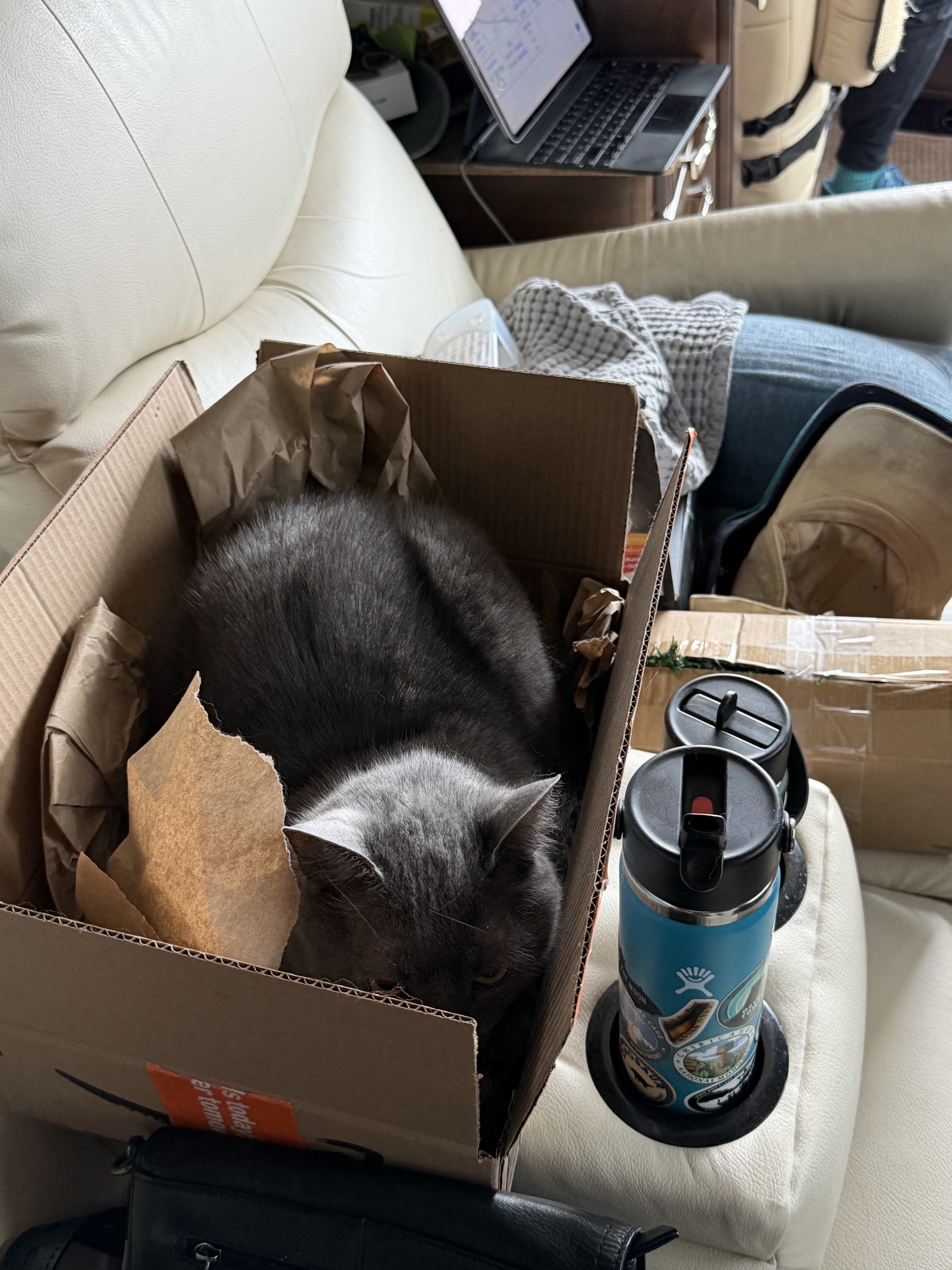 Paladin in a box