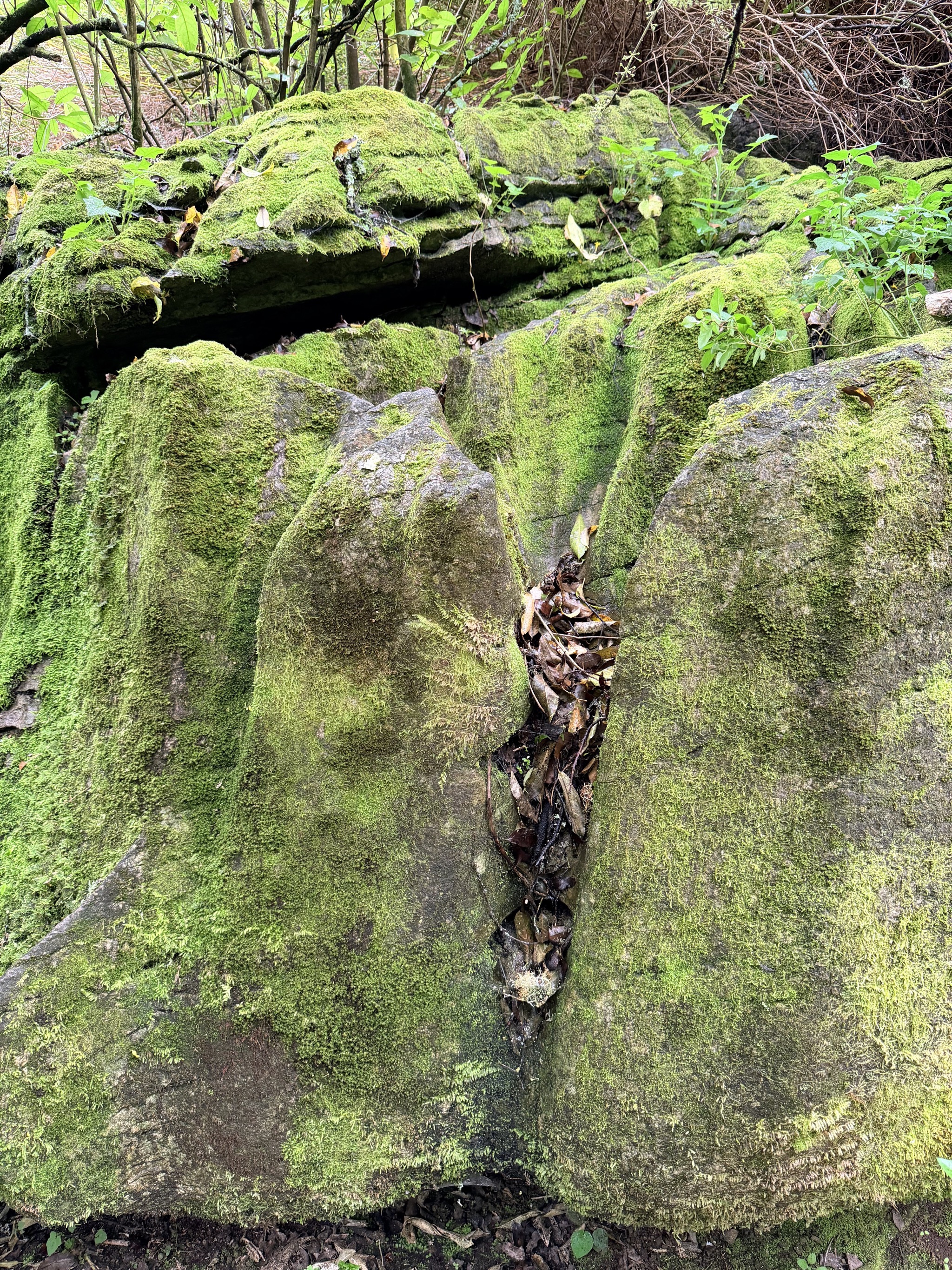 Labyrinth Rocks