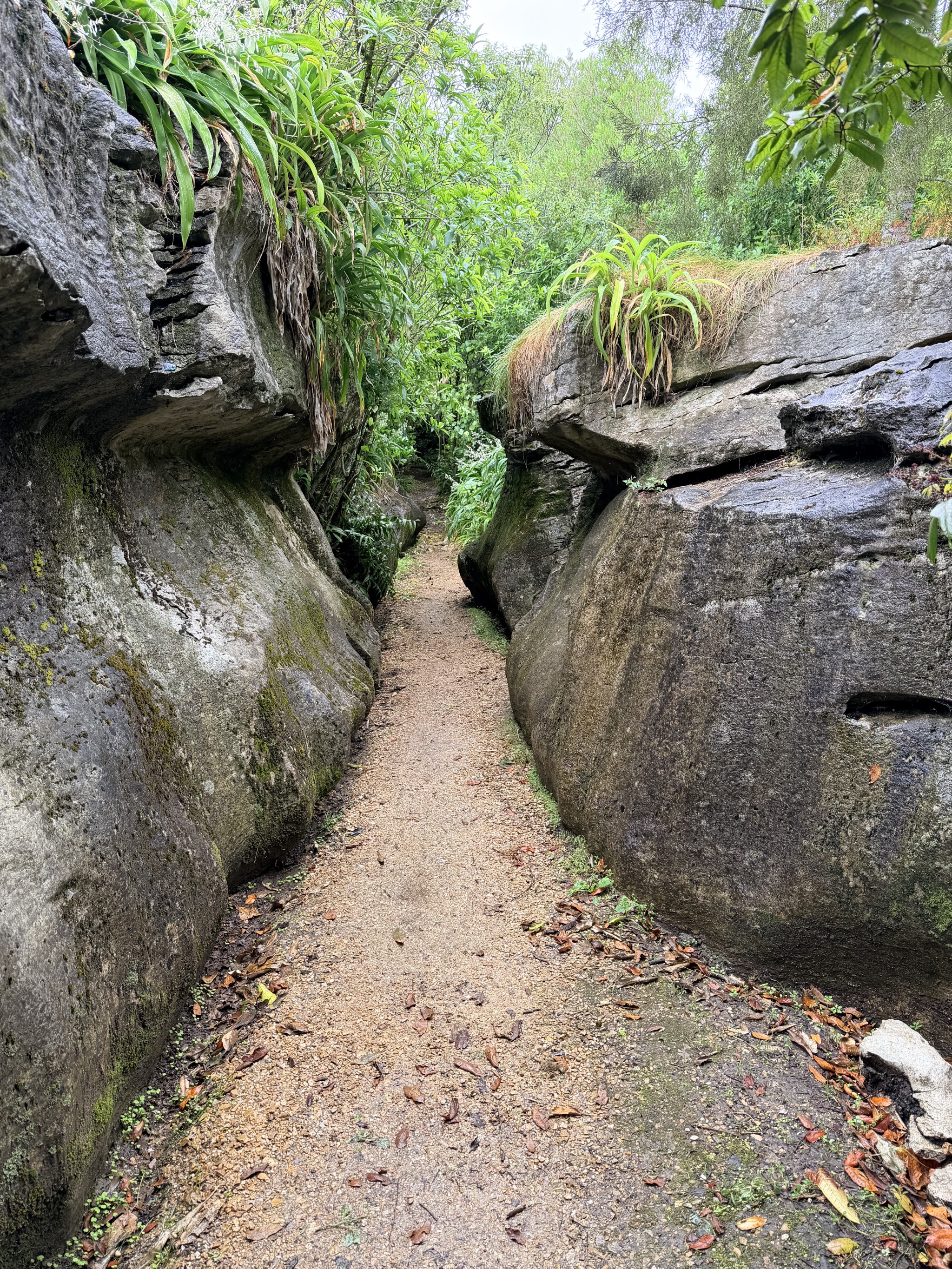 Labyrinth Rocks