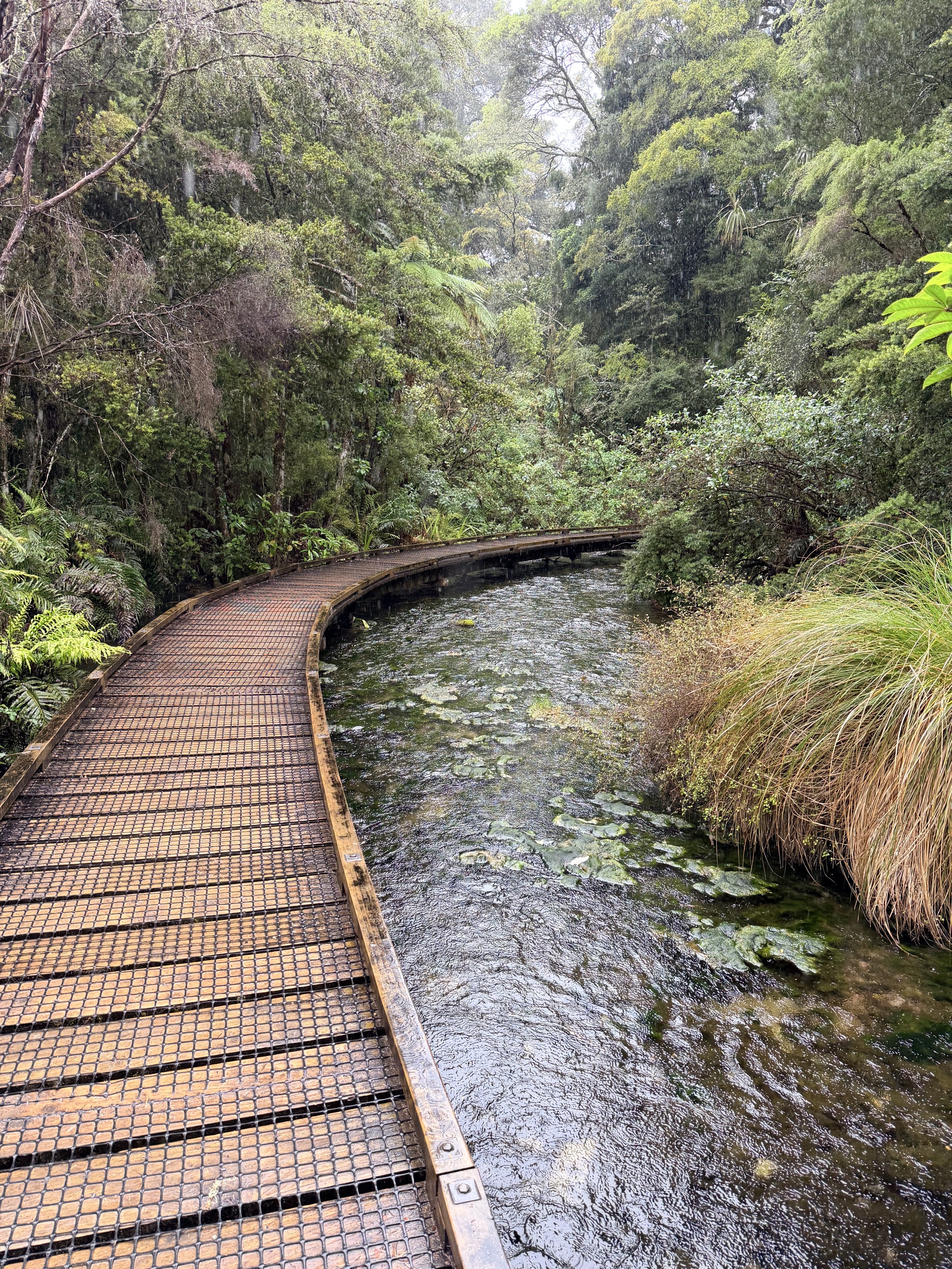 Te Waikoropupu Springs