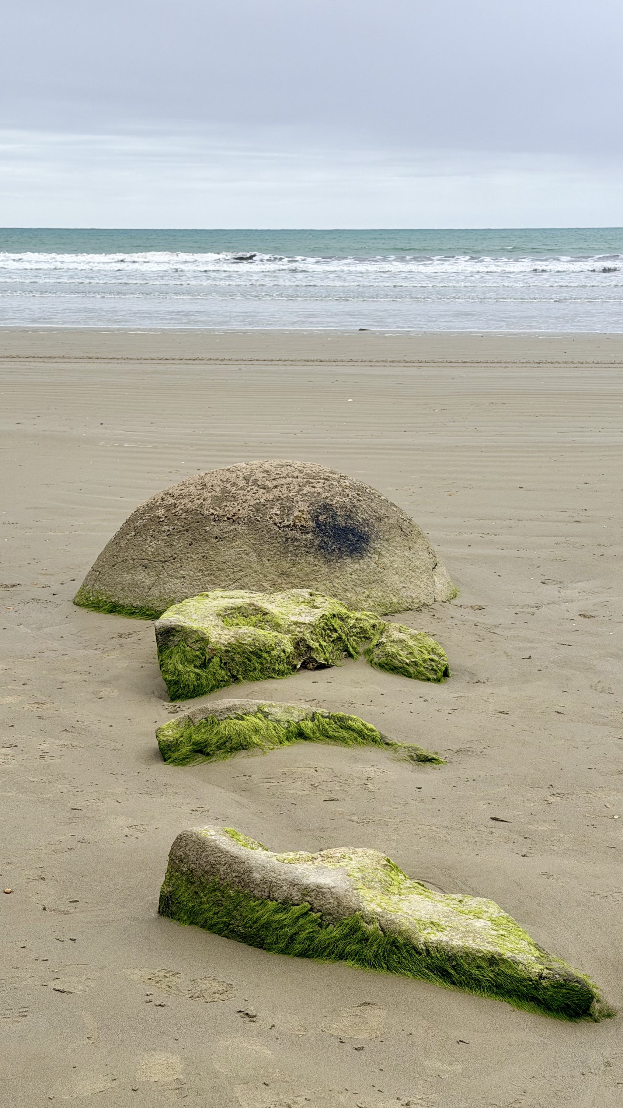 Moeraki Boulders