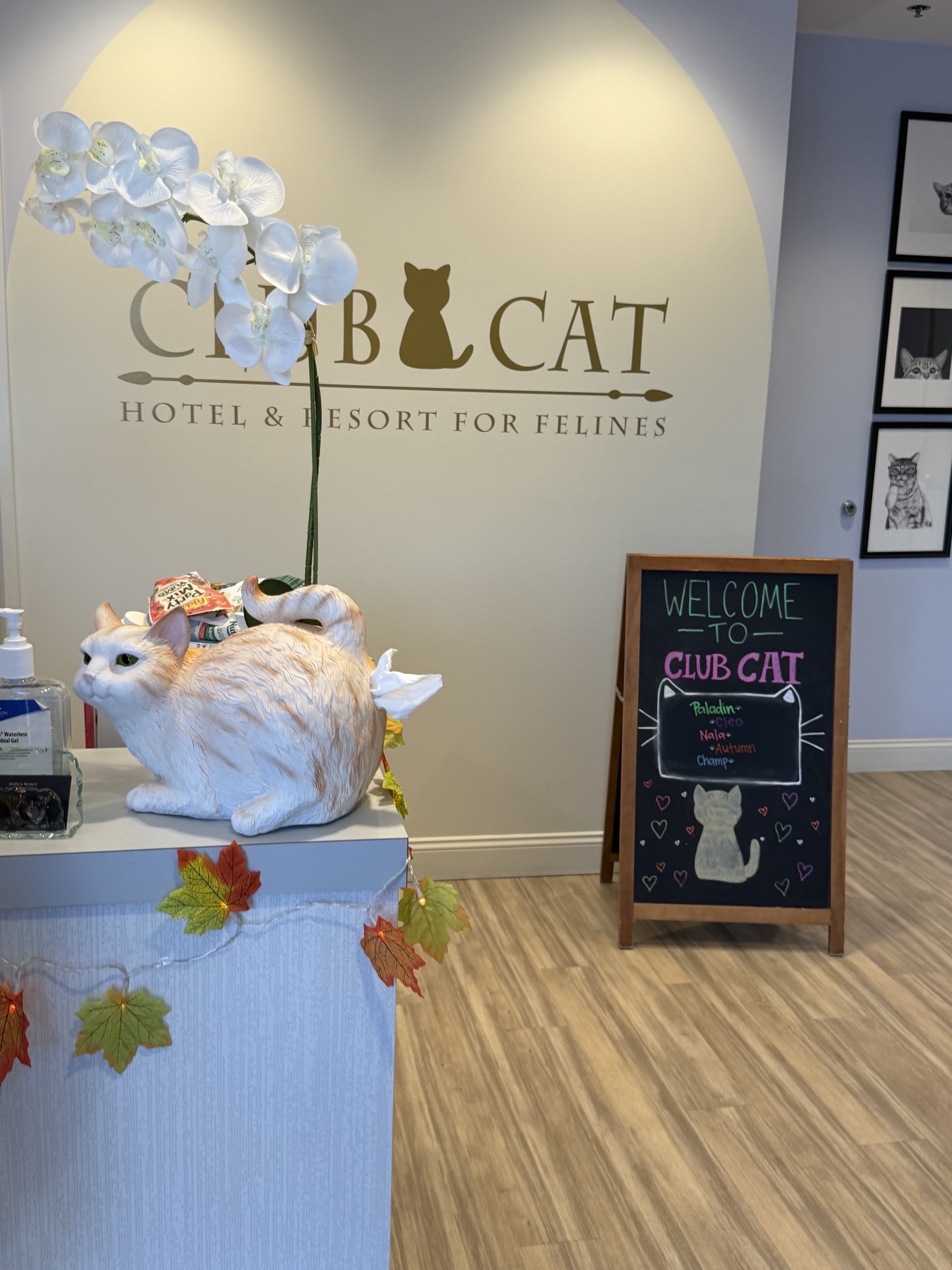Club Cat foyer