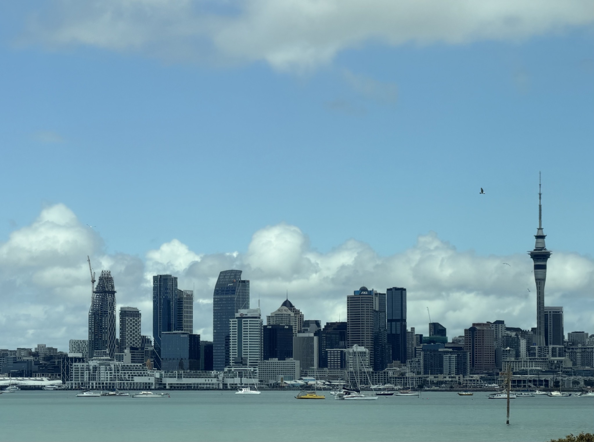 Auckland skyline