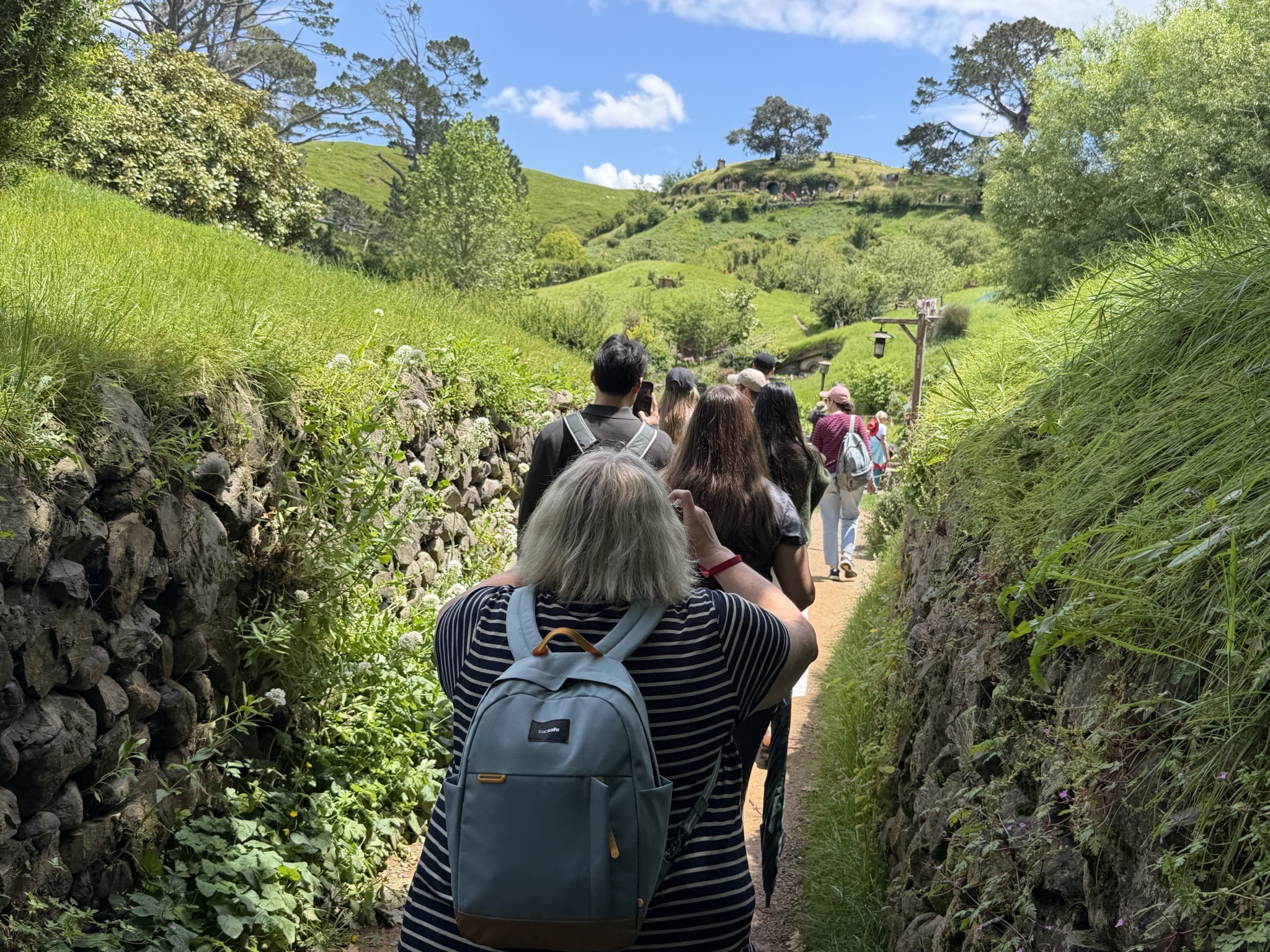 Path into Hobbiton