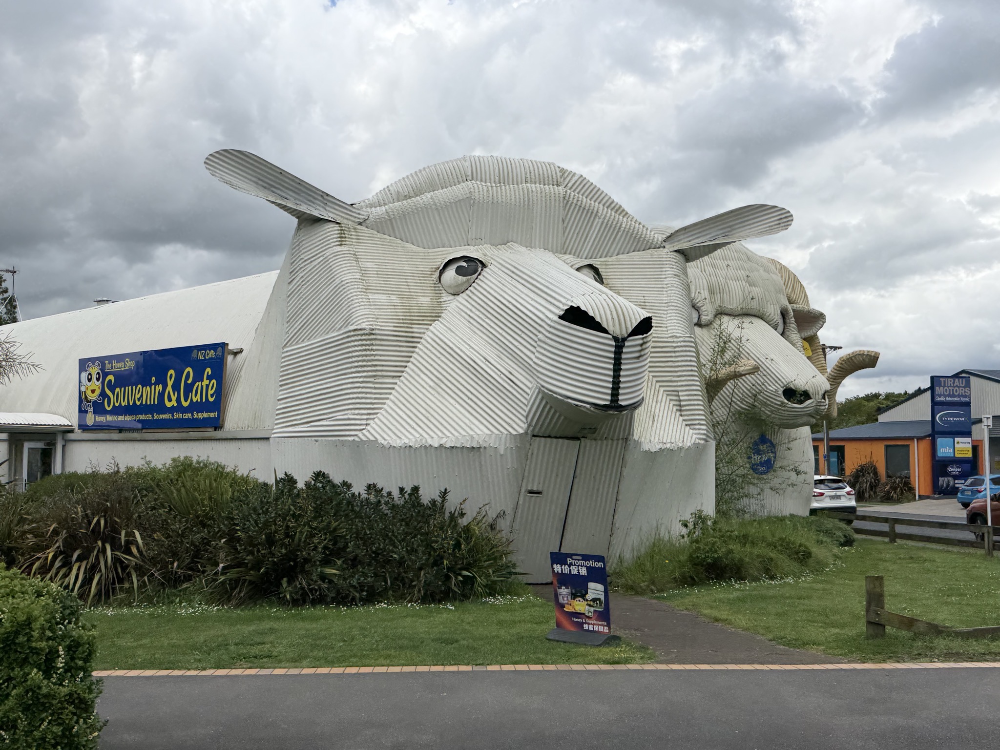 Corrugated iron sheep in Tirau
