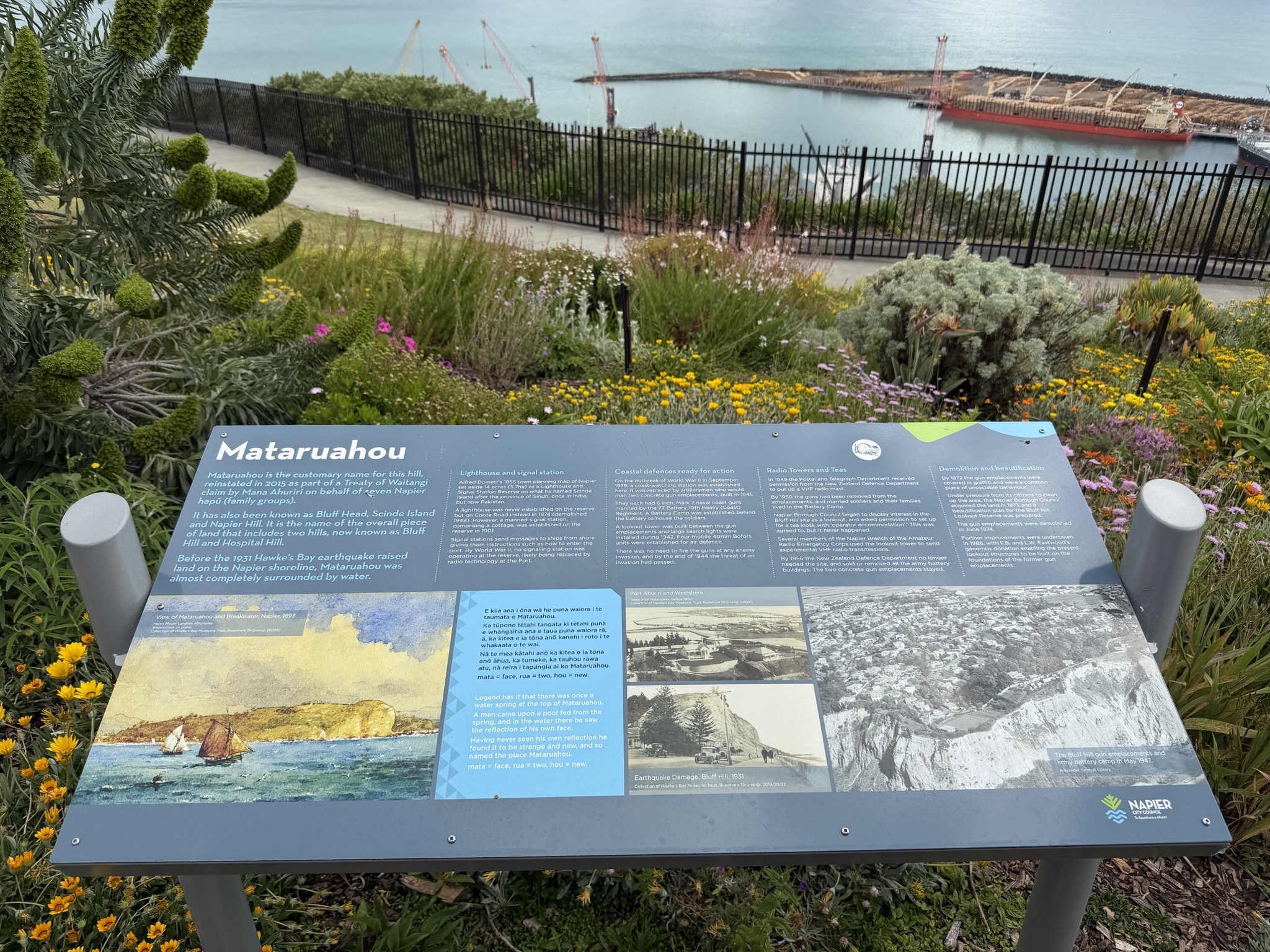 Bluff Hill Domain