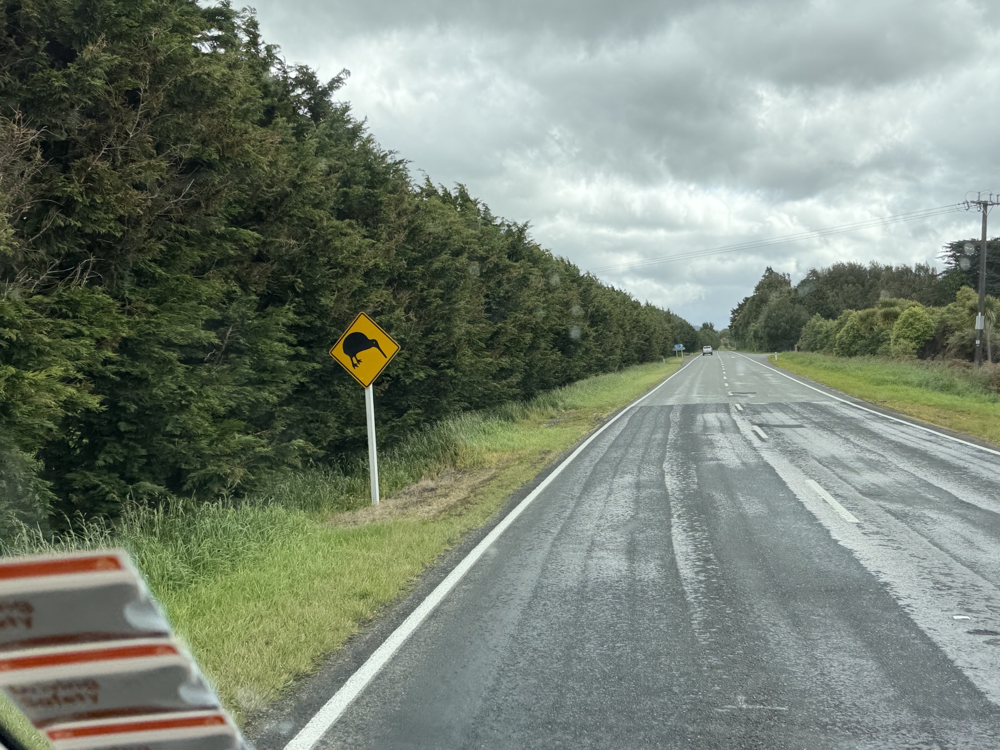 Kiwi sign