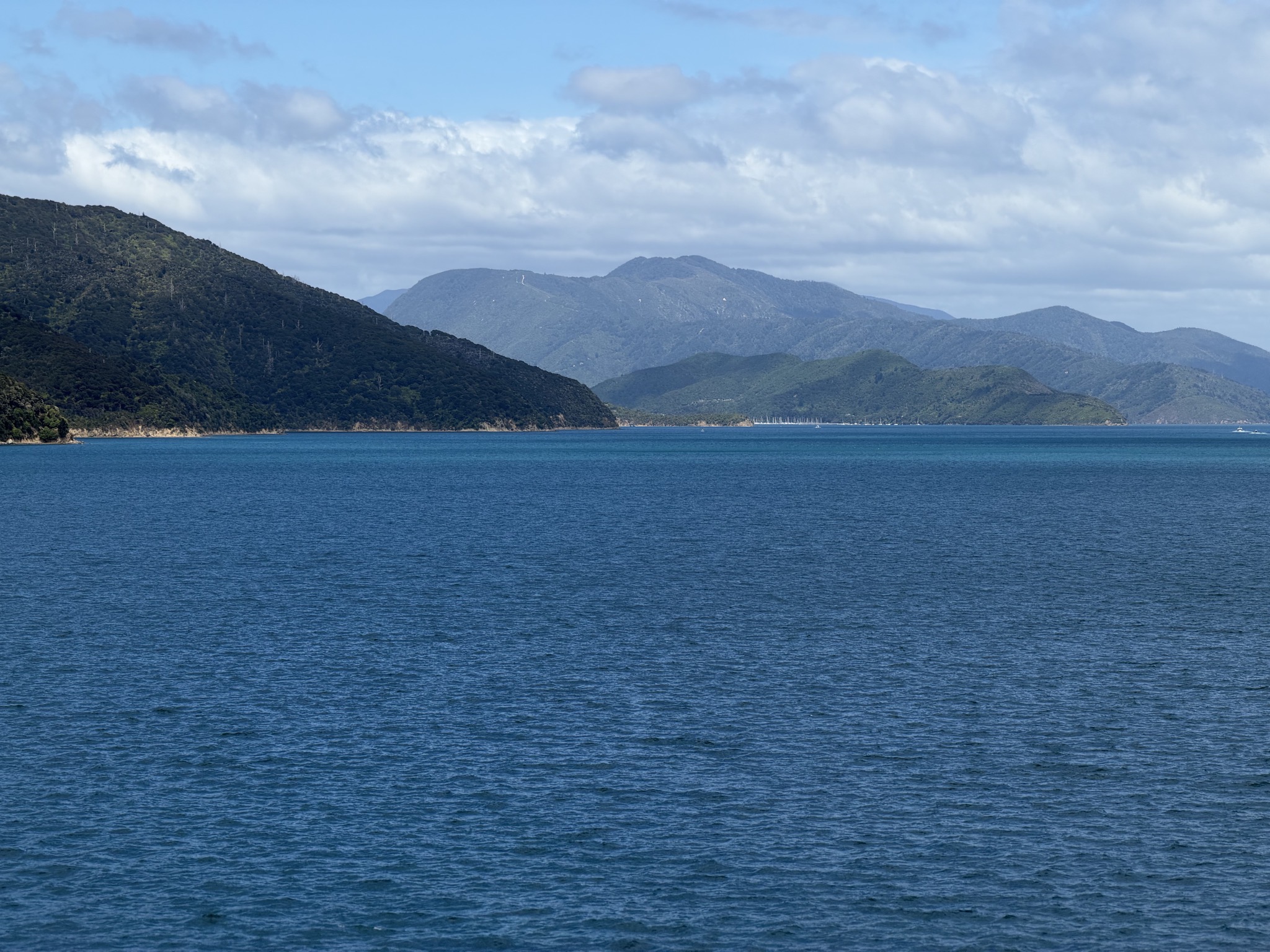 Marlborough Sound in the South Island