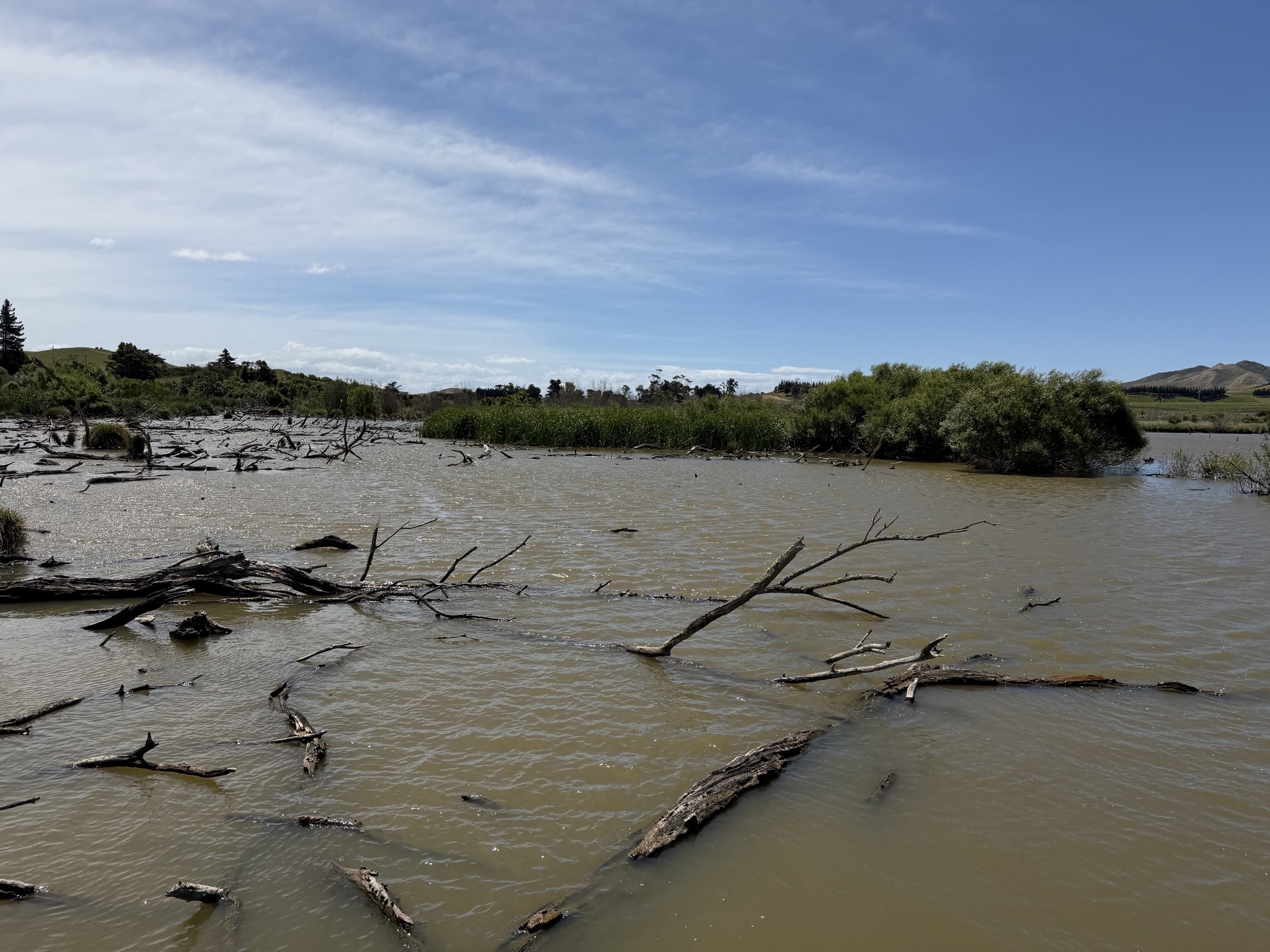 Lake Elterwater Wildlife Refuge