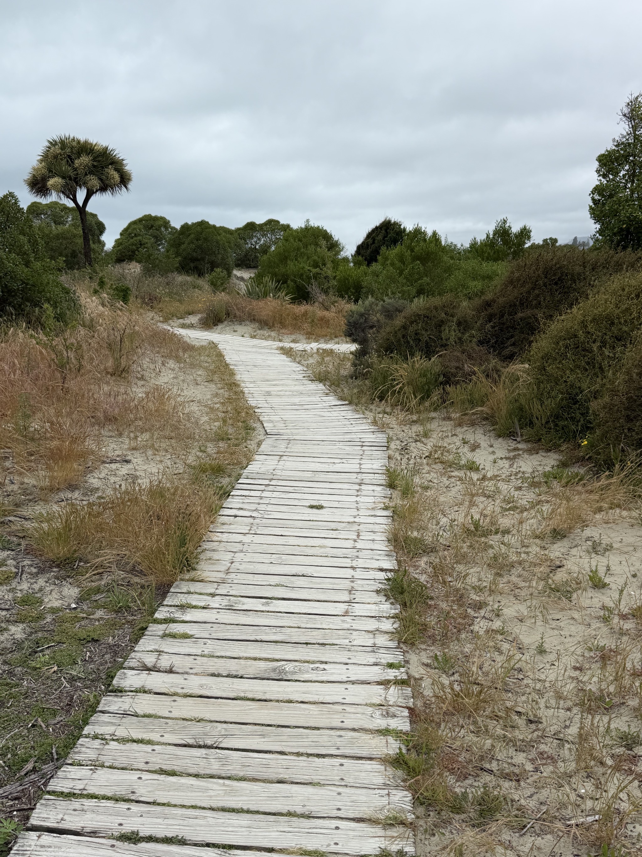 Boardwalk to beach
