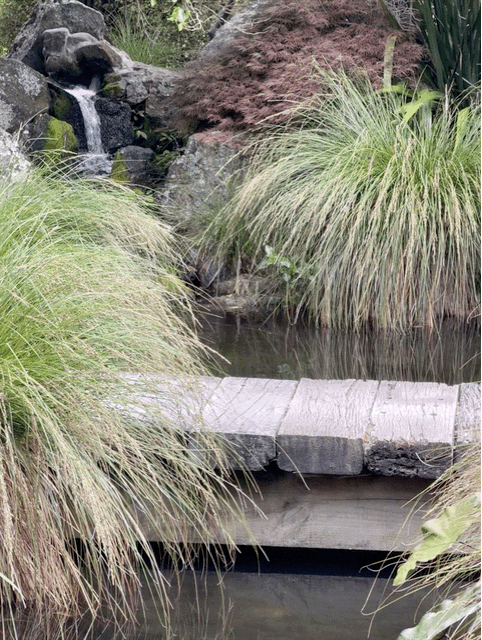 Miyazu Garden