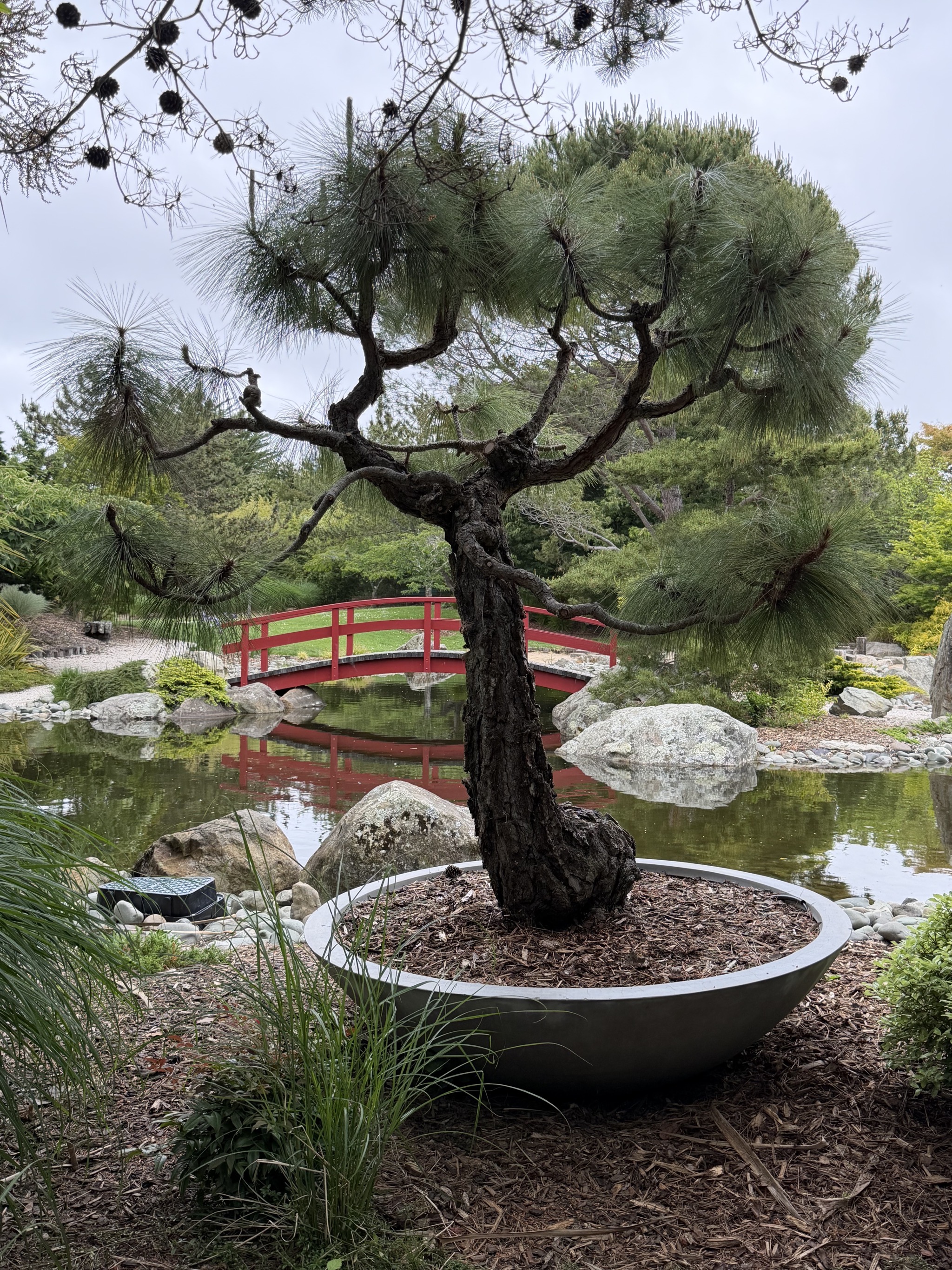 Miyazu Garden