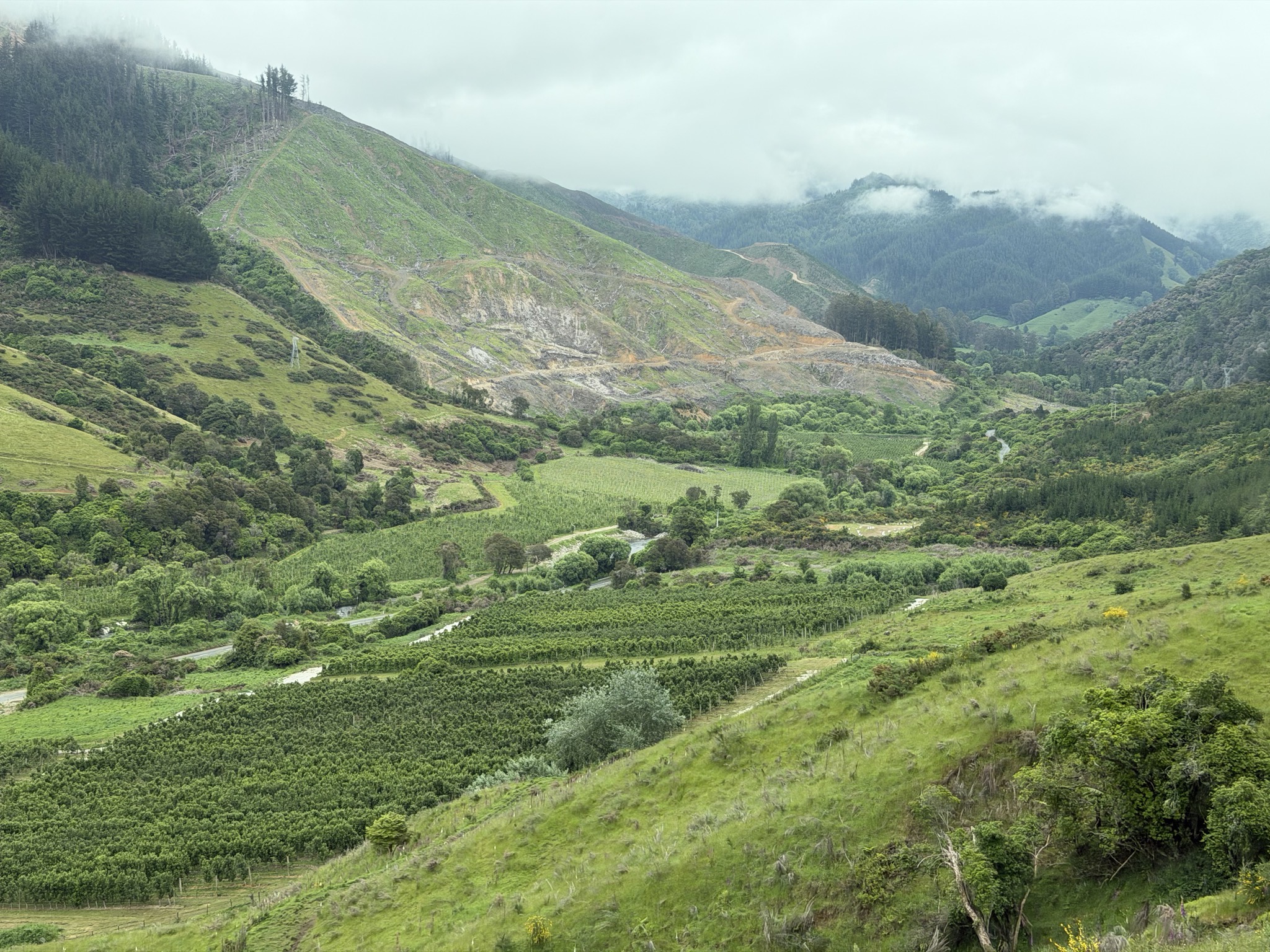 Motueka valley