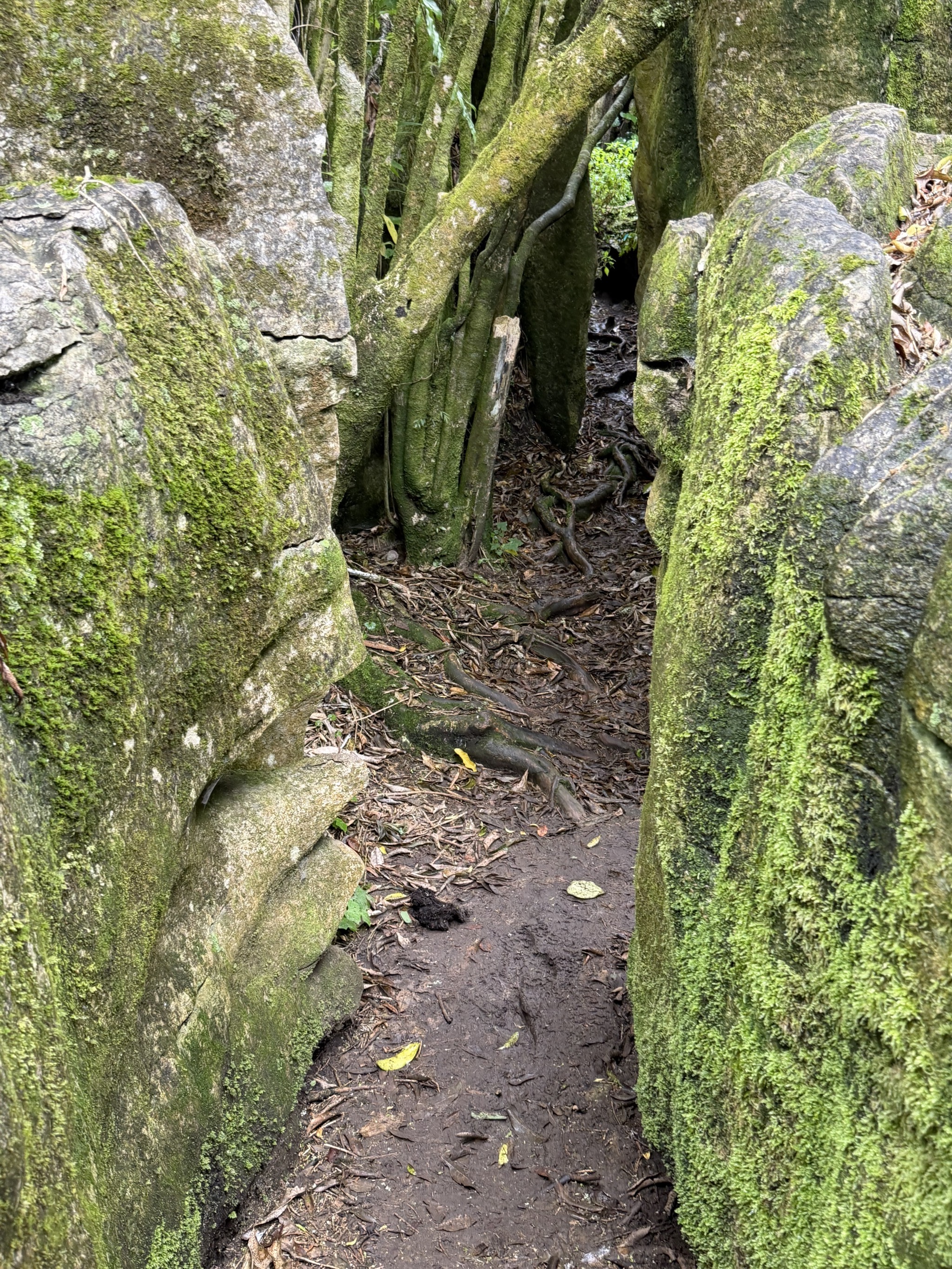 Labyrinth Rocks