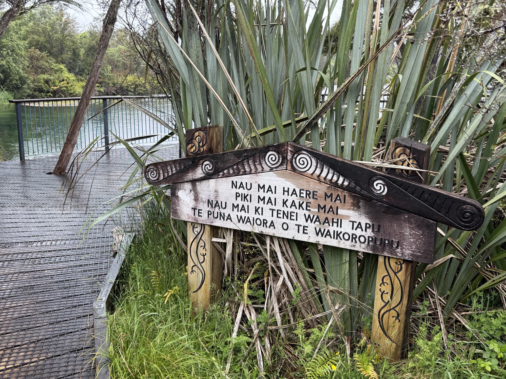 Te Waikoropupu Springs