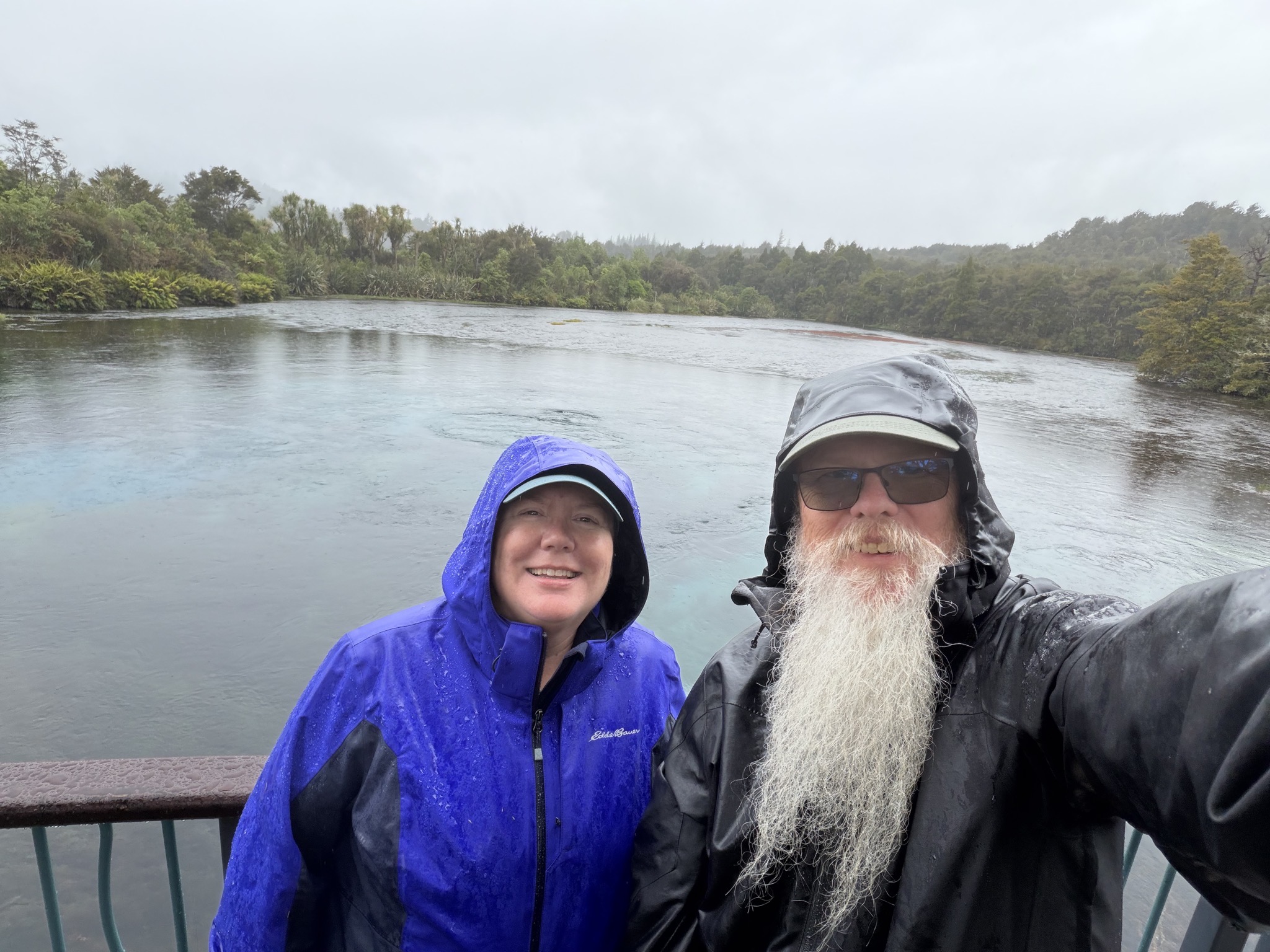 Te Waikoropupu Springs