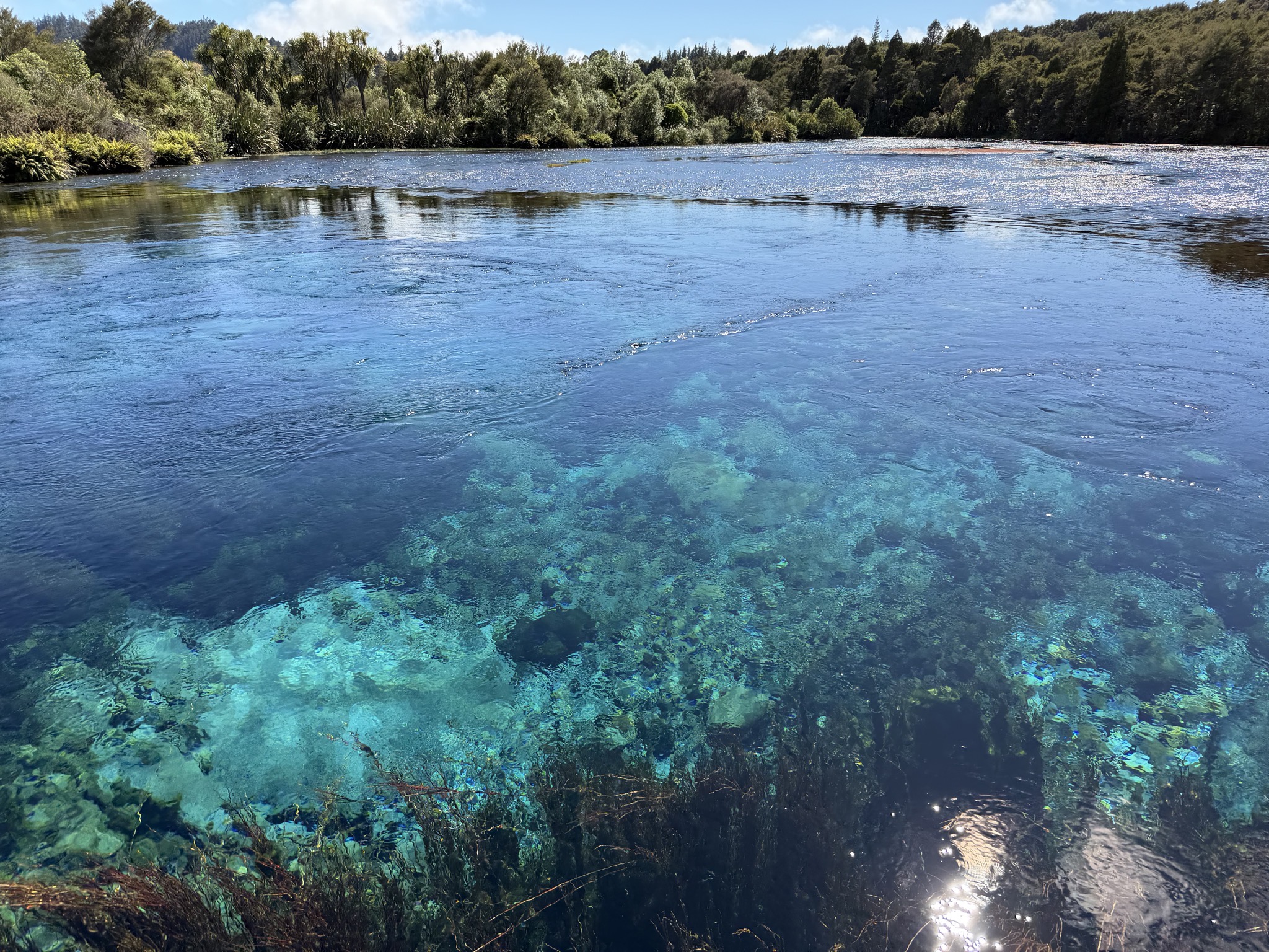 Te Waikoropupu Springs