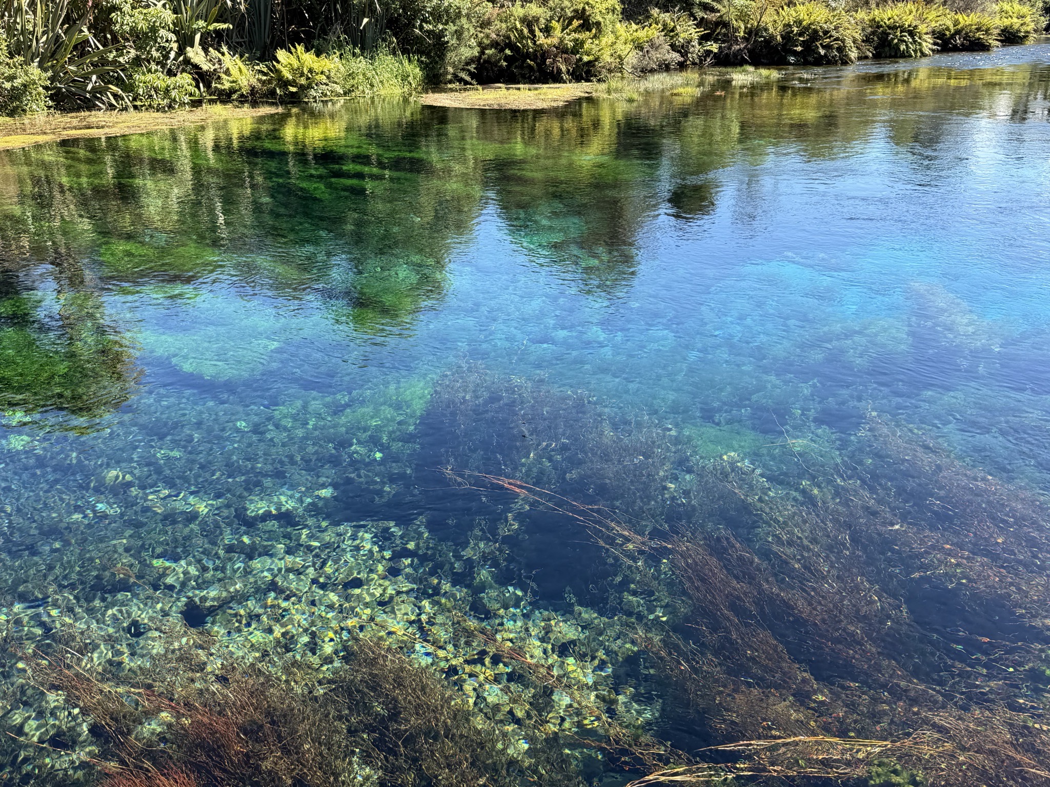 Te Waikoropupu Springs