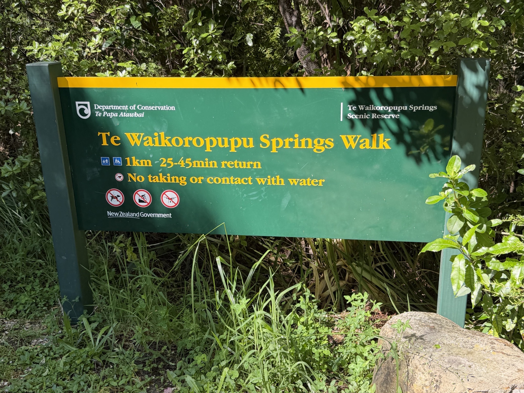 Te Waikoropupu Springs