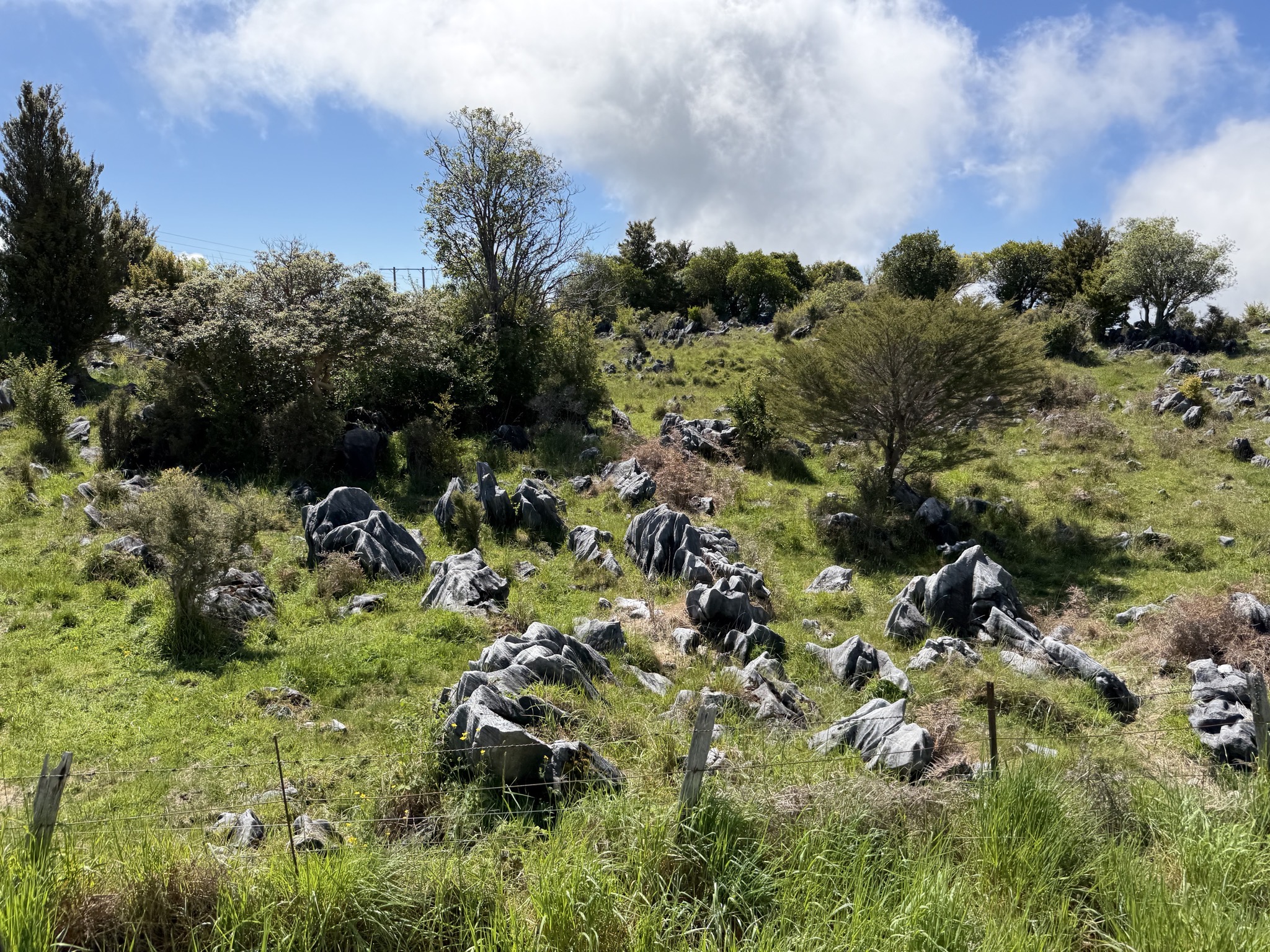 Interesting rocks