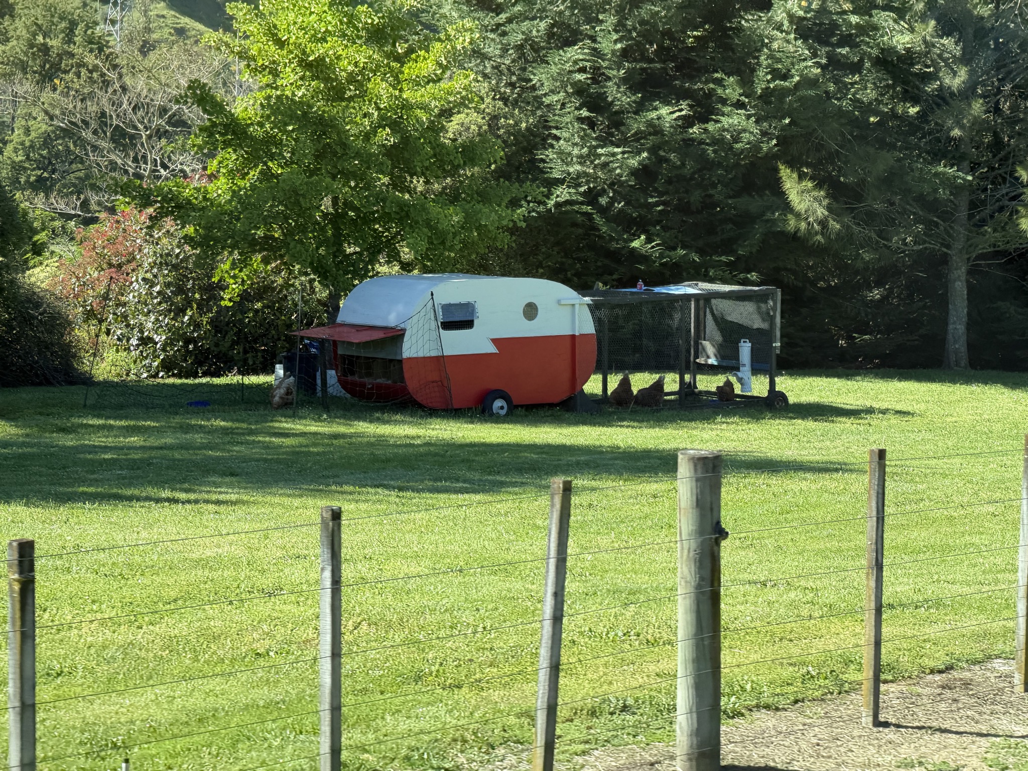 Caravan chicken coop