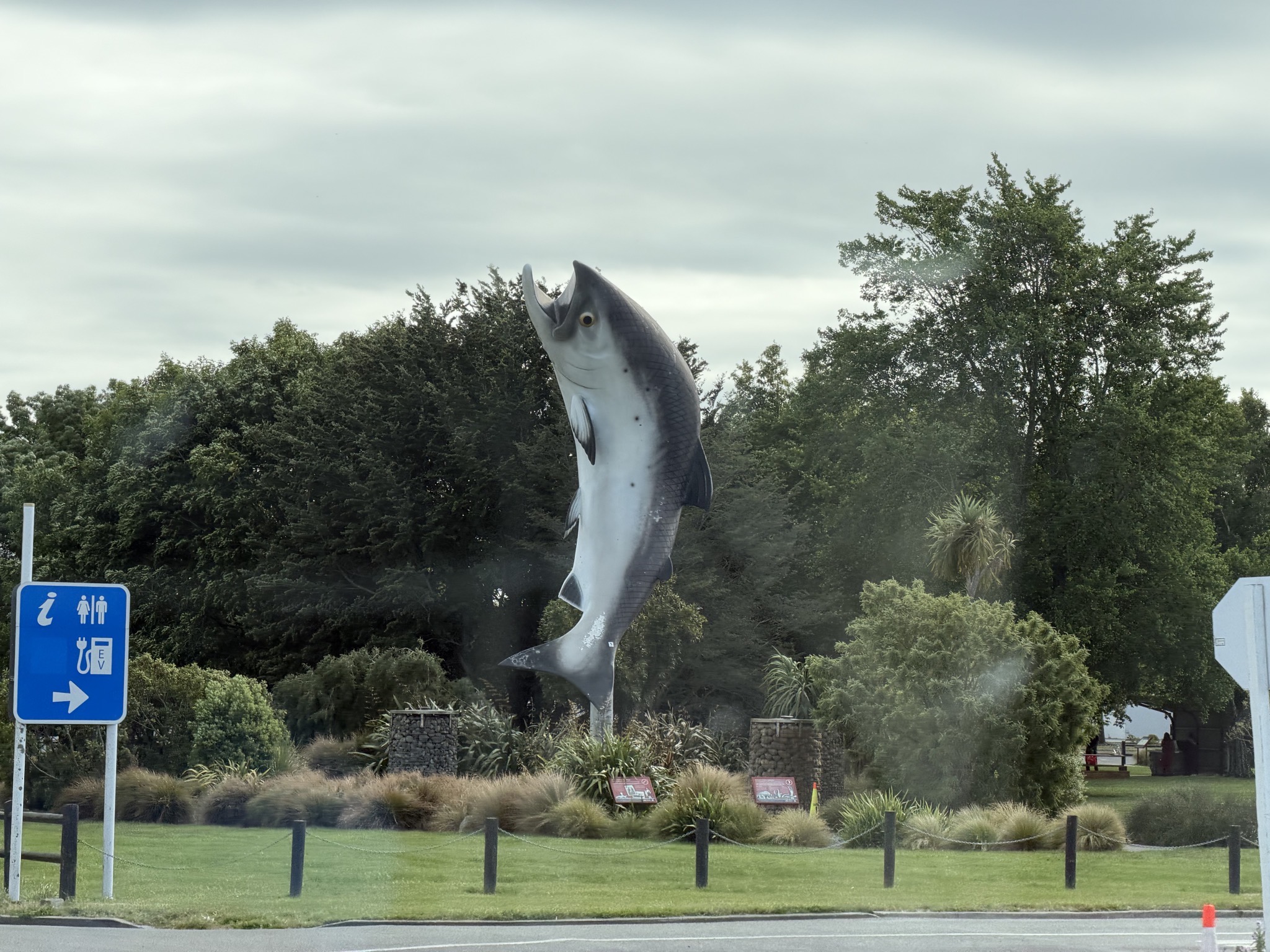 Rakaia salmon sculpture