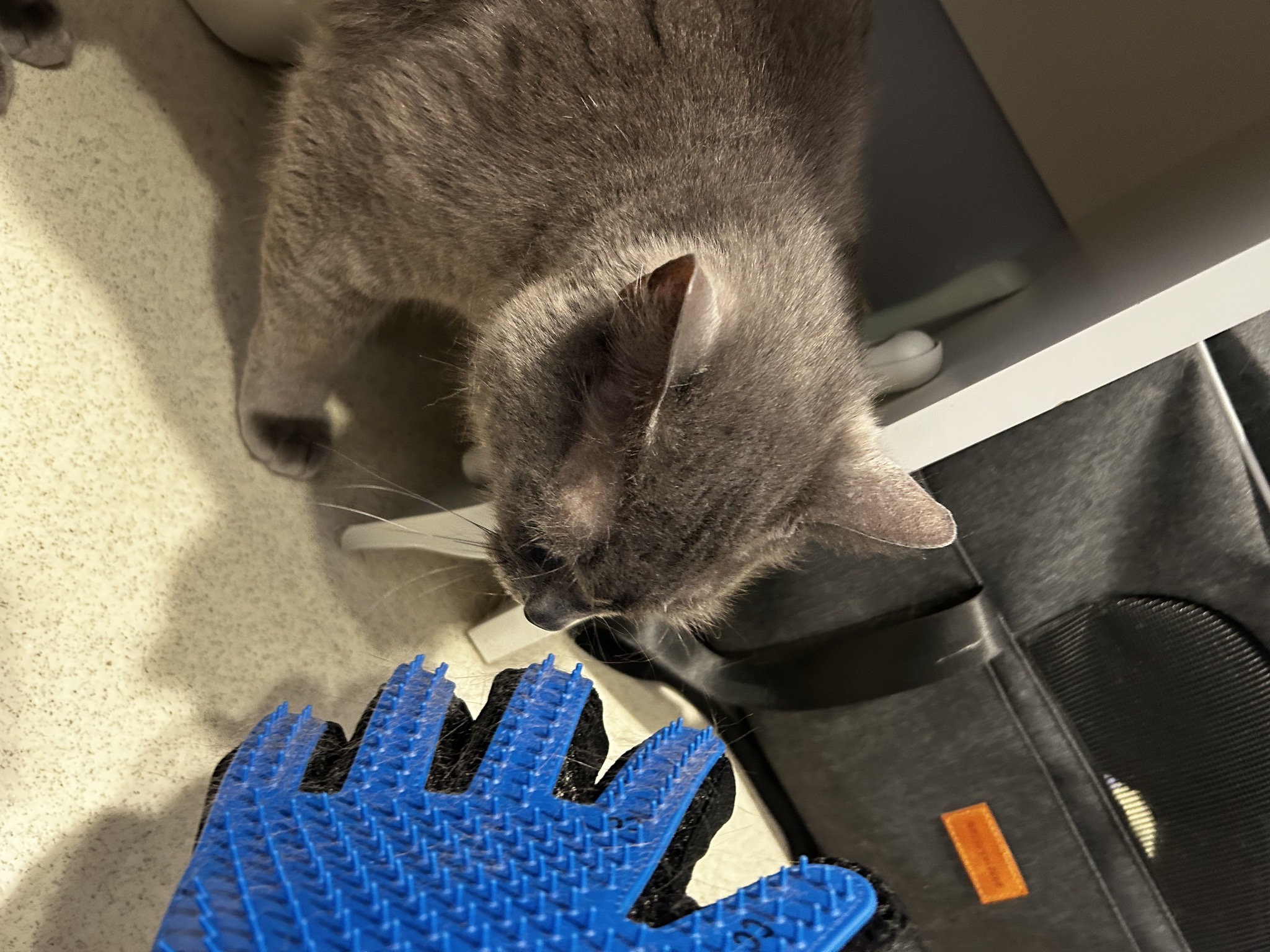 Fur therapy glove
